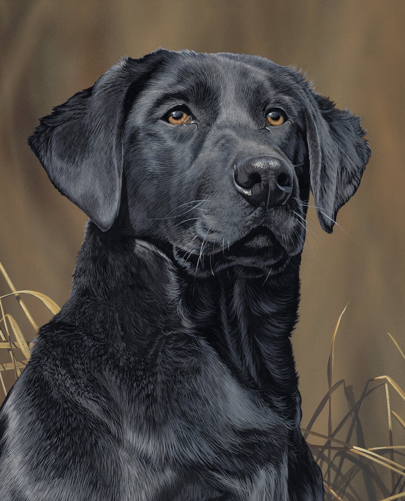 Black Labrador Dog Quilt Panel ML3488 2C Dogs Fabric - Mary Jo Fabrics