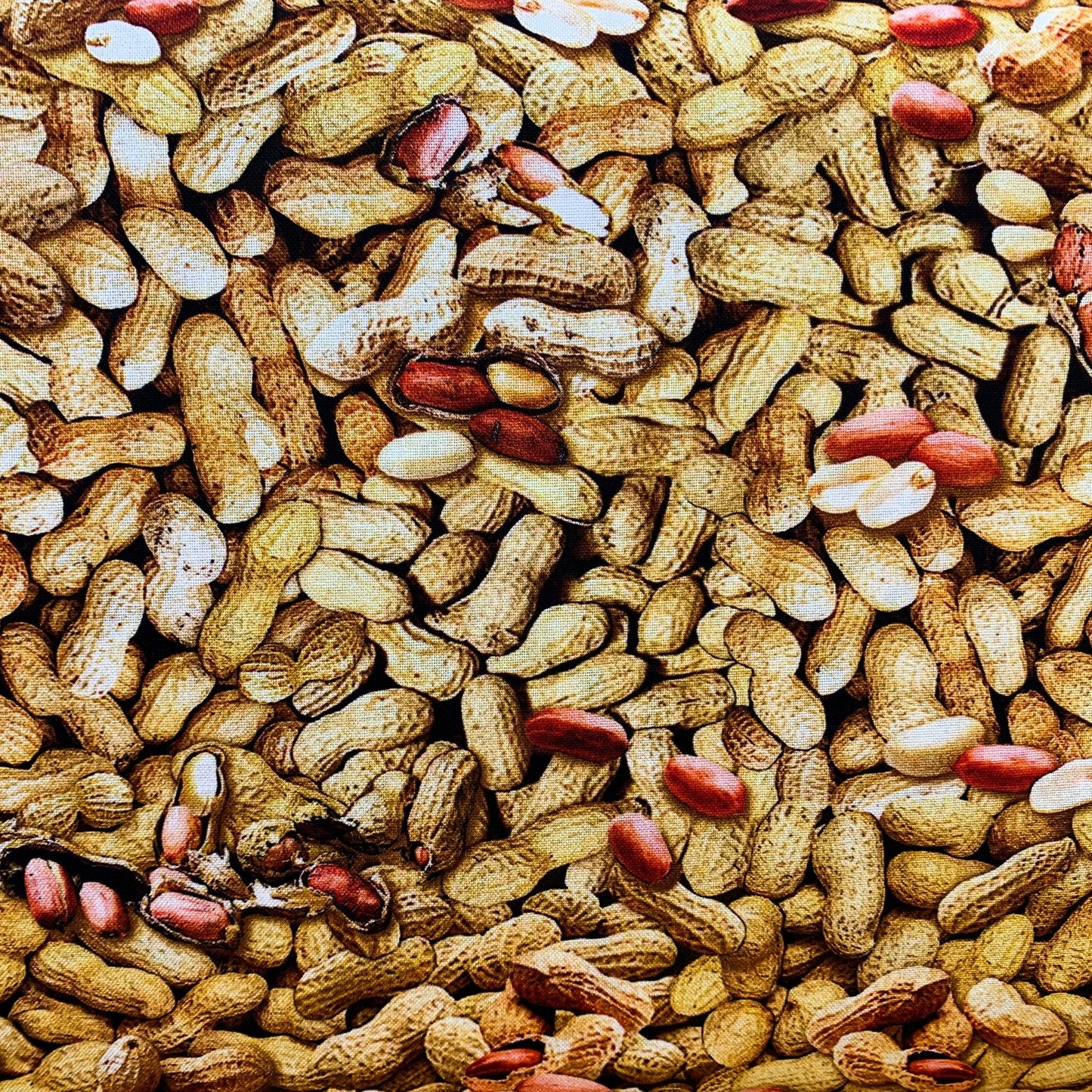 In Shell Peanuts fabric 12749 Peanut cotton fabric - Mary Jo Fabrics