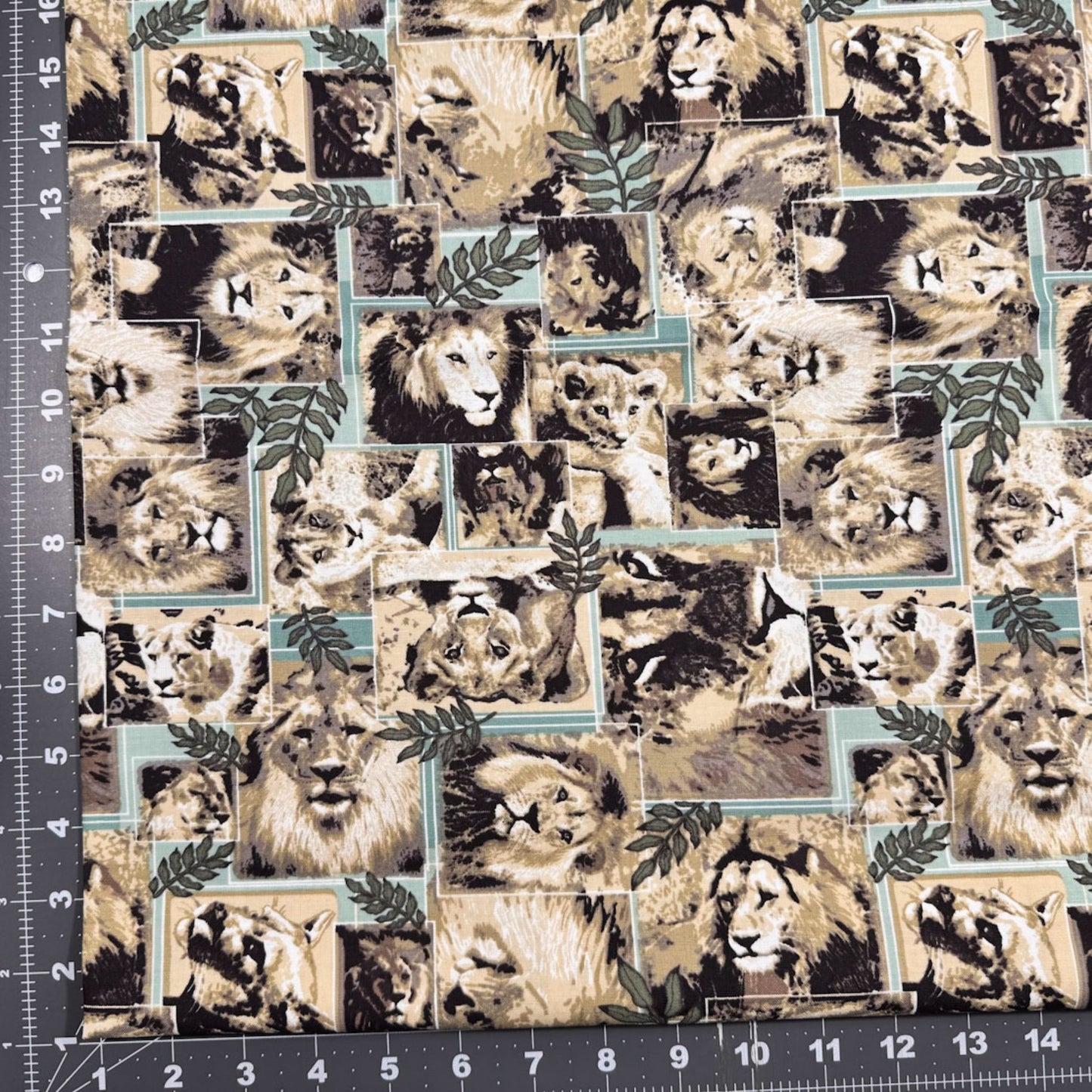 Lion fabric Pride of lions cotton fabric big width - Mary Jo Fabrics