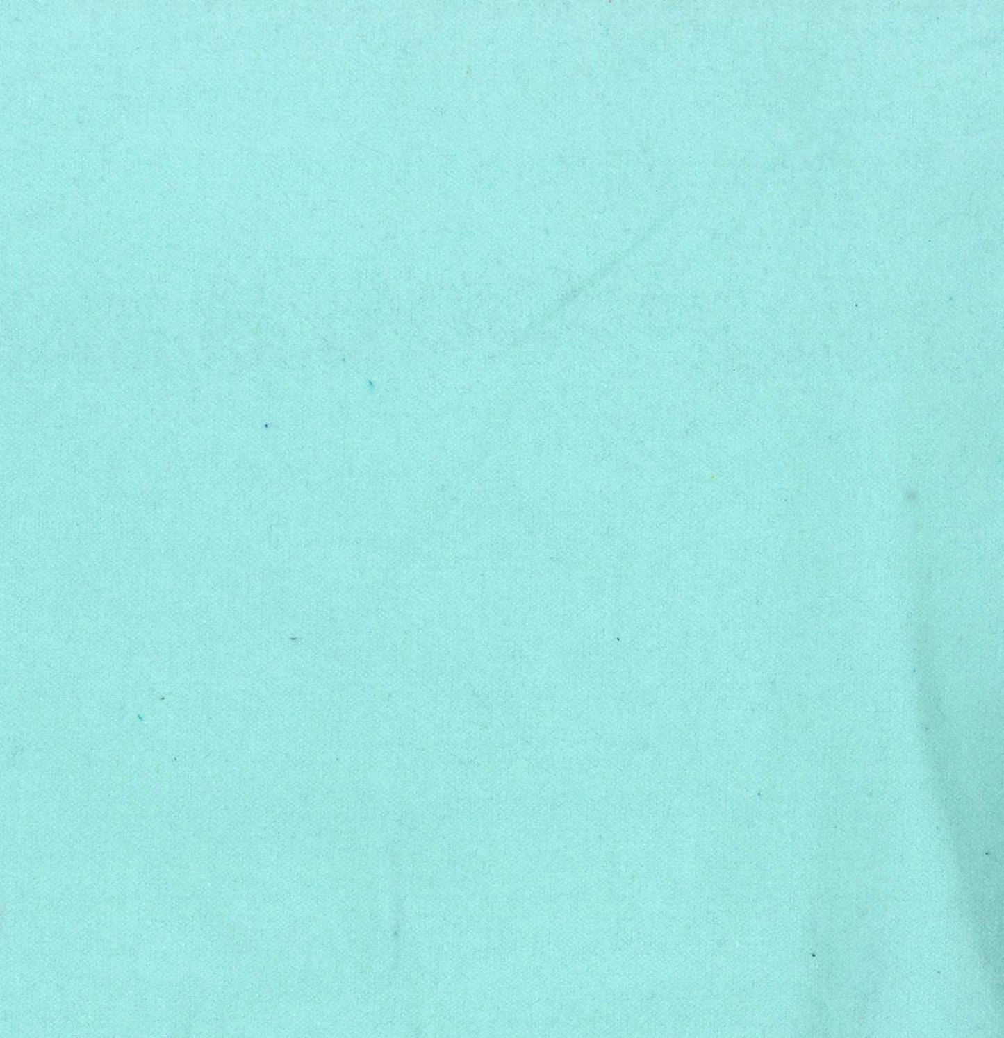 Solid Aqua FLANNEL OA - 6631 Pale Aqua Heavy FLANNEL Oasis Fabrics - Mary Jo Fabrics