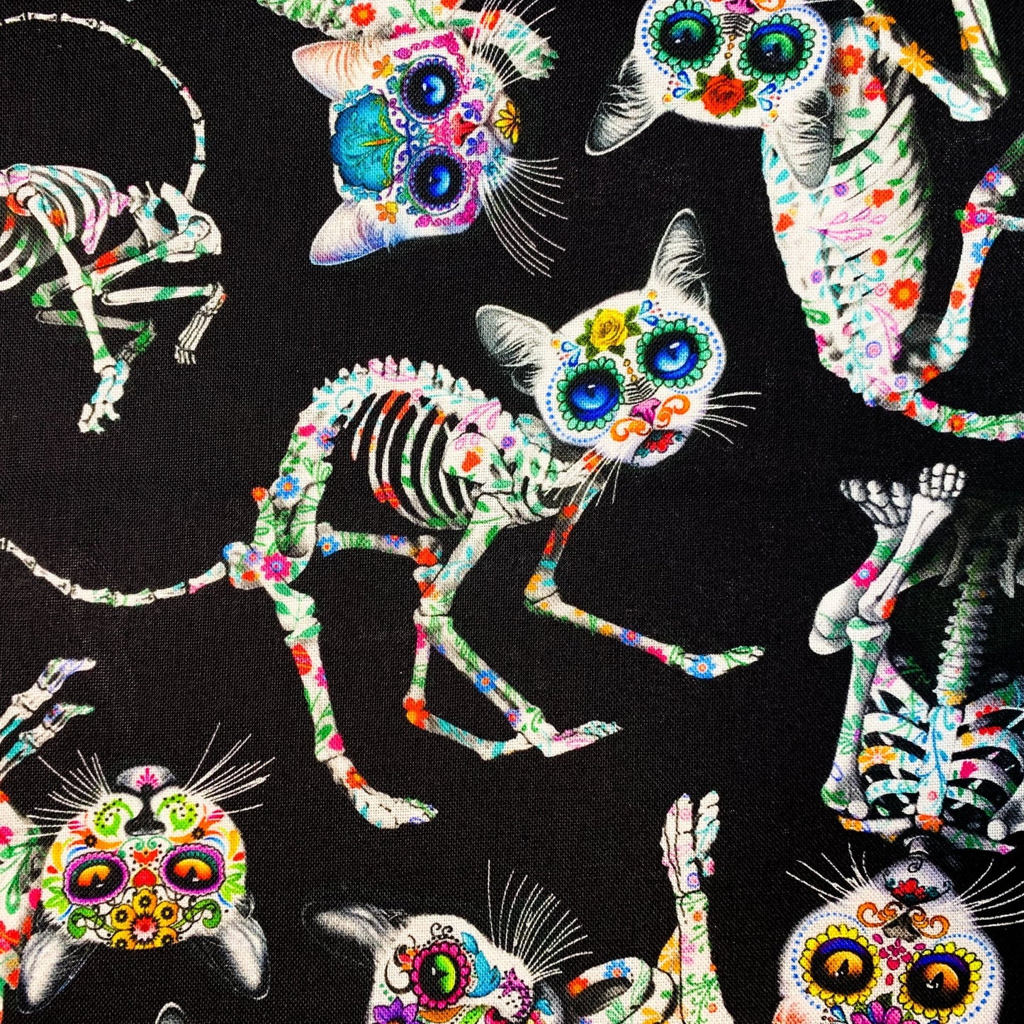 Sugar Skull Cat fabric CD3602 Skeleton cat cotton fabric - Mary Jo Fabrics
