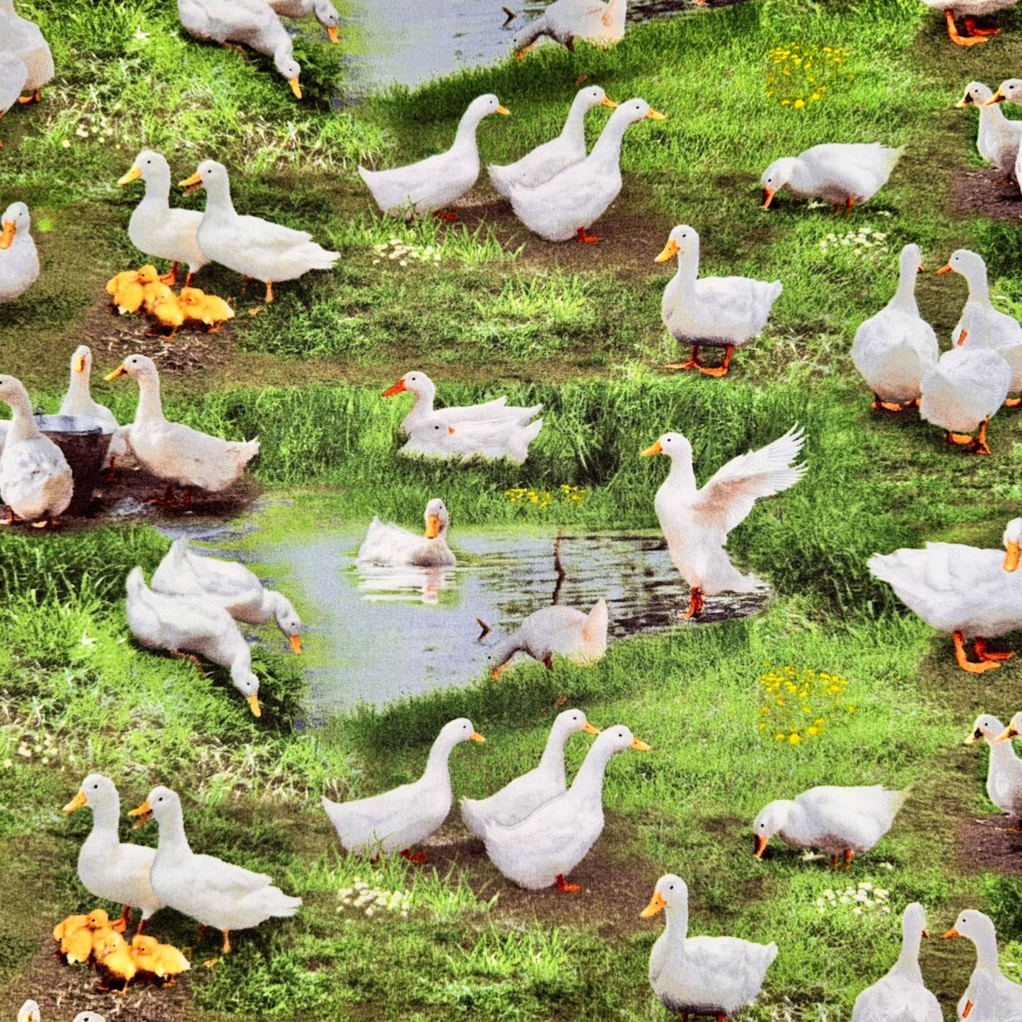 White Duck Fabric 651 Green Farm Animals Ducks - Mary Jo Fabrics