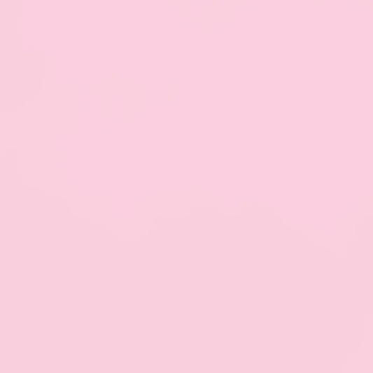 Paintbrush Studio Solid Rose Pink 121-023