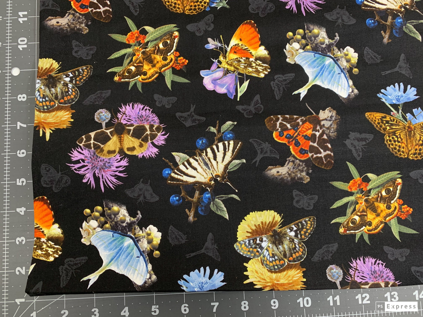 Black Moths and Butterflies fabric 9801 Beautiful Butterfly