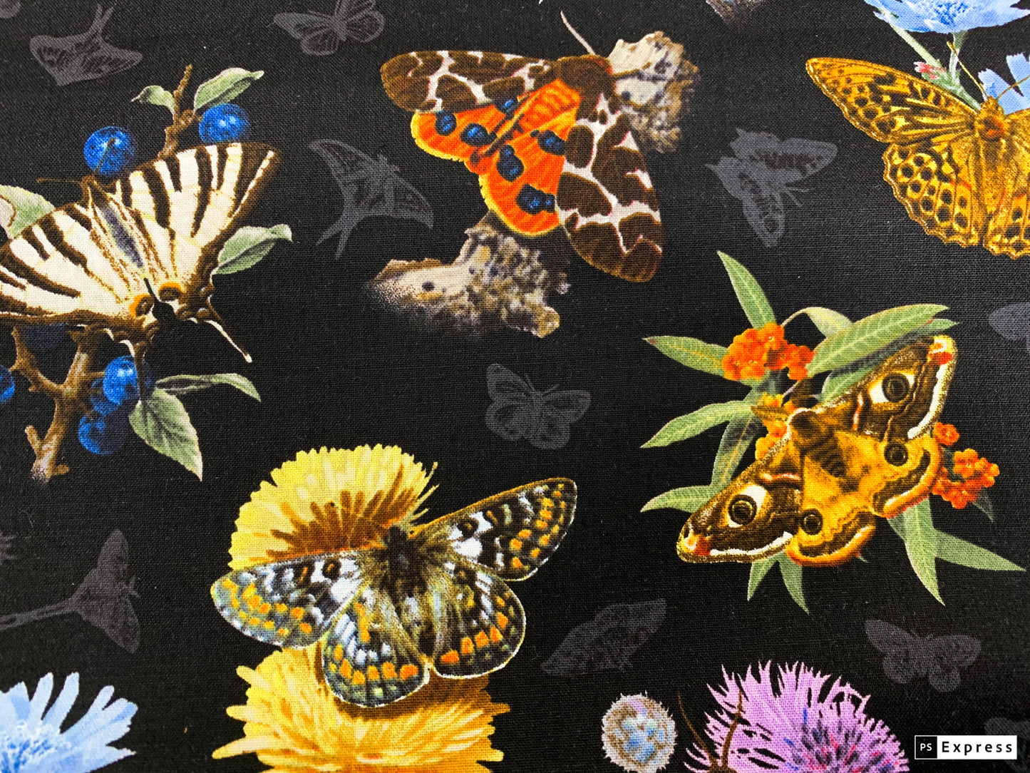 Black Moths and Butterflies fabric 9801 Beautiful Butterfly