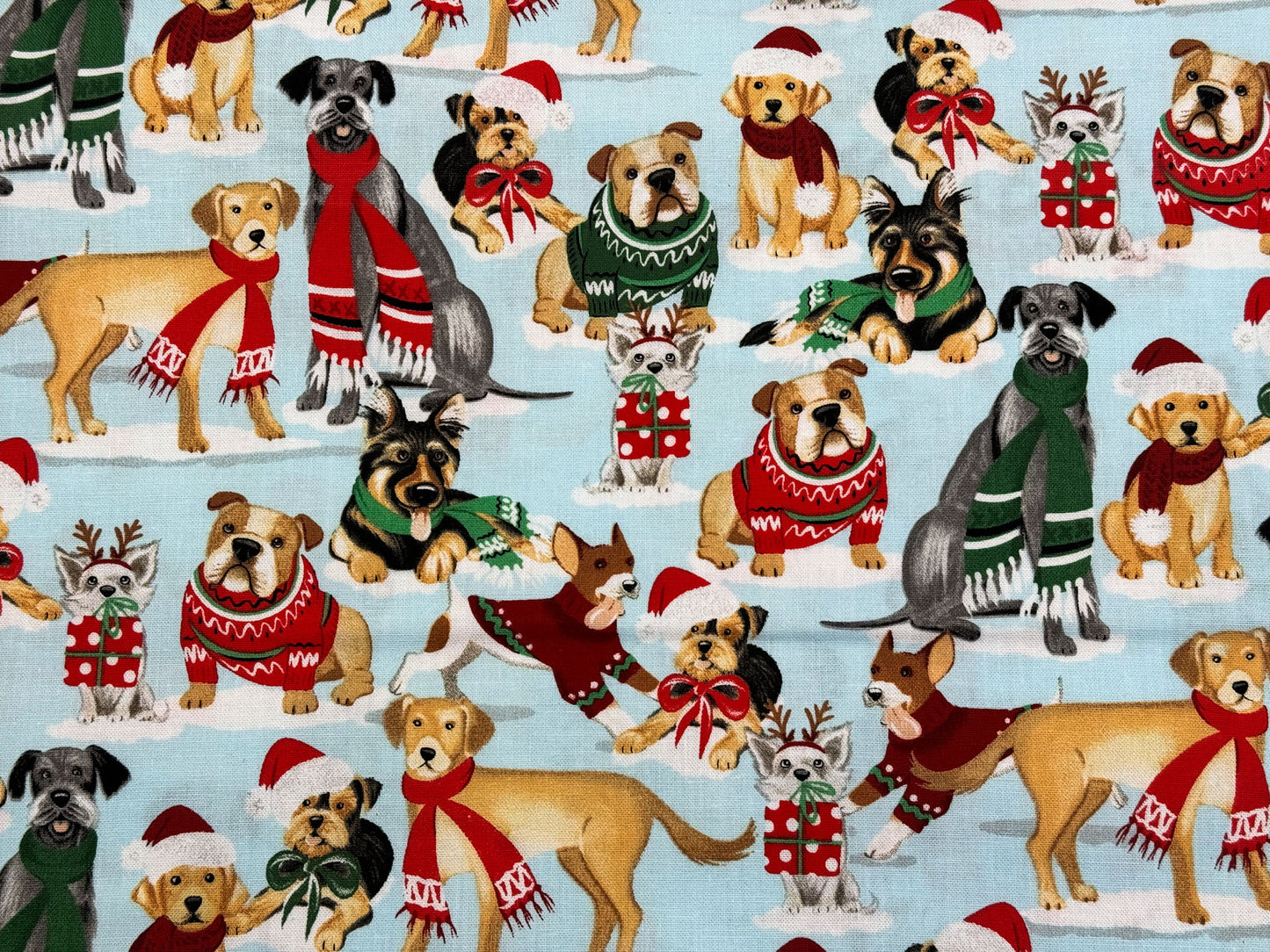 Santa Paws Dogs in Christmas sweaters and scarves