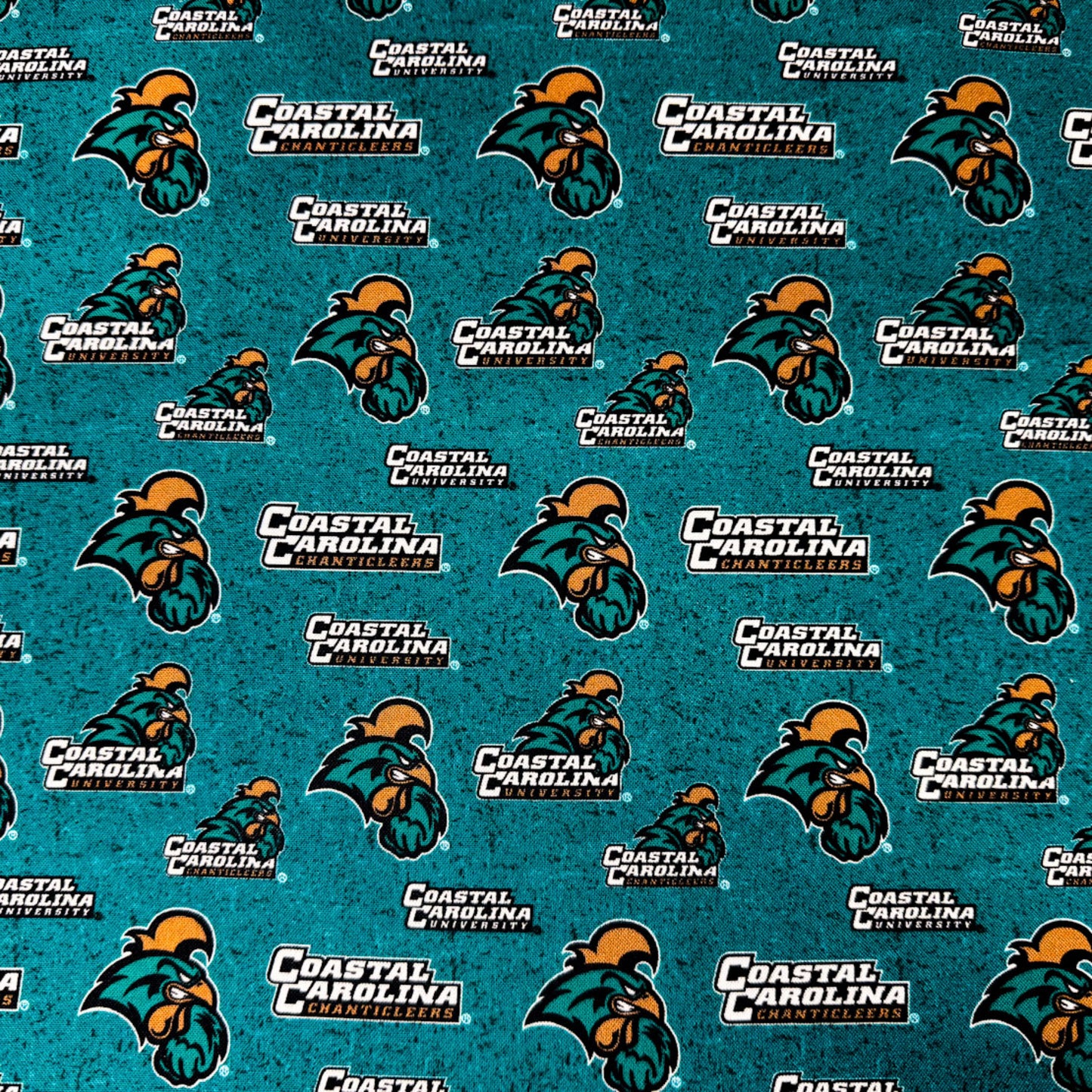 Coastal Carolina University CCU-1178 South Carolina