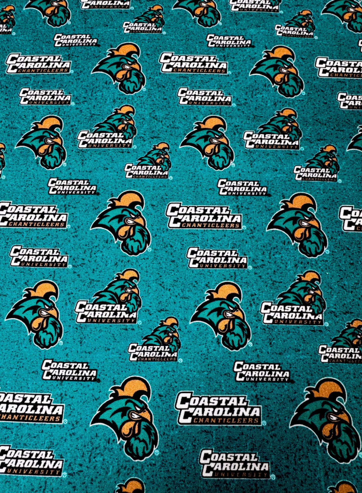 Coastal Carolina University CCU-1178 South Carolina