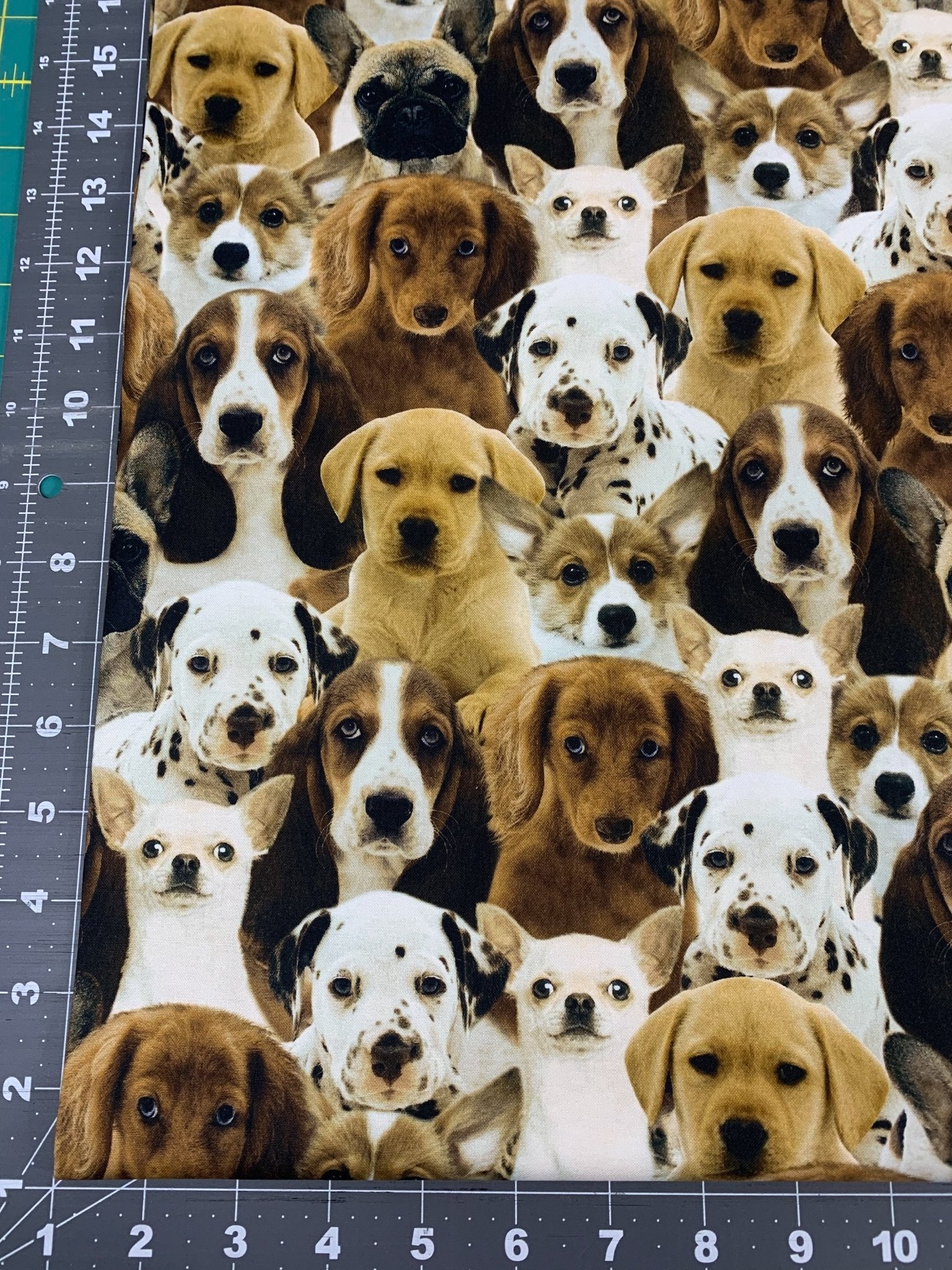 All Over Dog fabric 50065D dogs cotton fabric - Mary Jo Fabrics