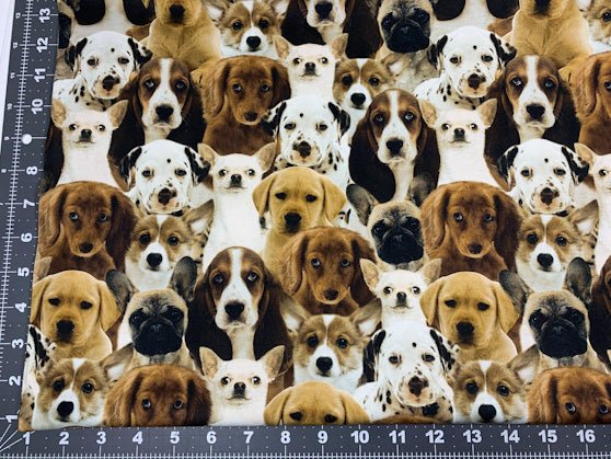 All Over Dog fabric 50065D dogs cotton fabric - Mary Jo Fabrics