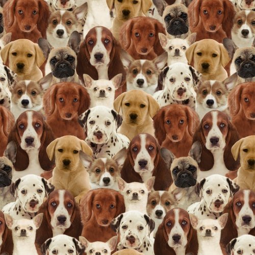 All Over Dog fabric 50065D dogs cotton fabric - Mary Jo Fabrics