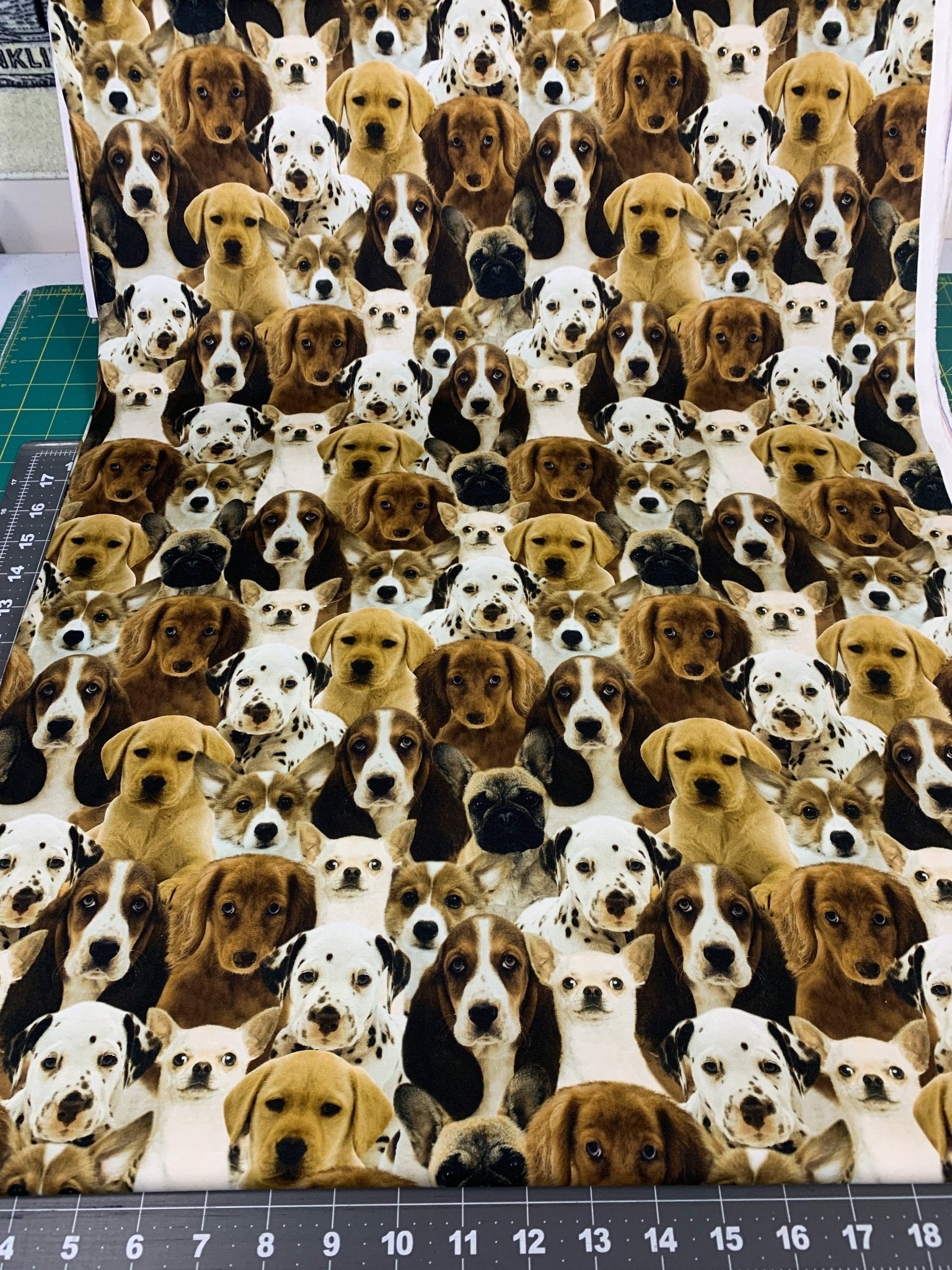 All Over Dog fabric 50065D dogs cotton fabric - Mary Jo Fabrics