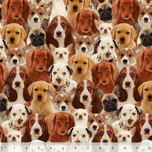 All Over Dog fabric 50065D dogs cotton fabric - Mary Jo Fabrics