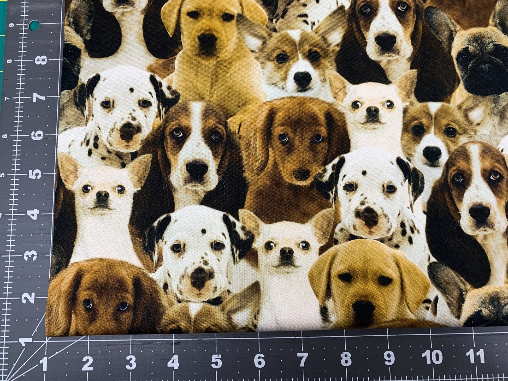 All Over Dog fabric 50065D dogs cotton fabric - Mary Jo Fabrics