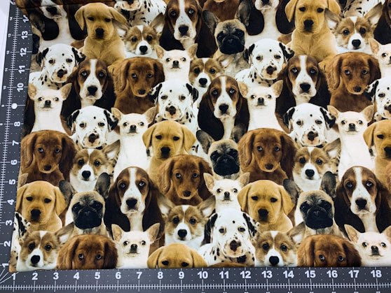 All Over Dog fabric 50065D dogs cotton fabric - Mary Jo Fabrics