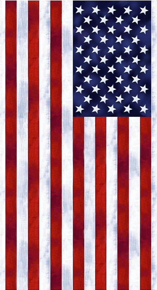 American Flag quilt panel panel 23" x 44" USA Flag fabric USA fabric Patriotic Quilt - Mary Jo Fabrics