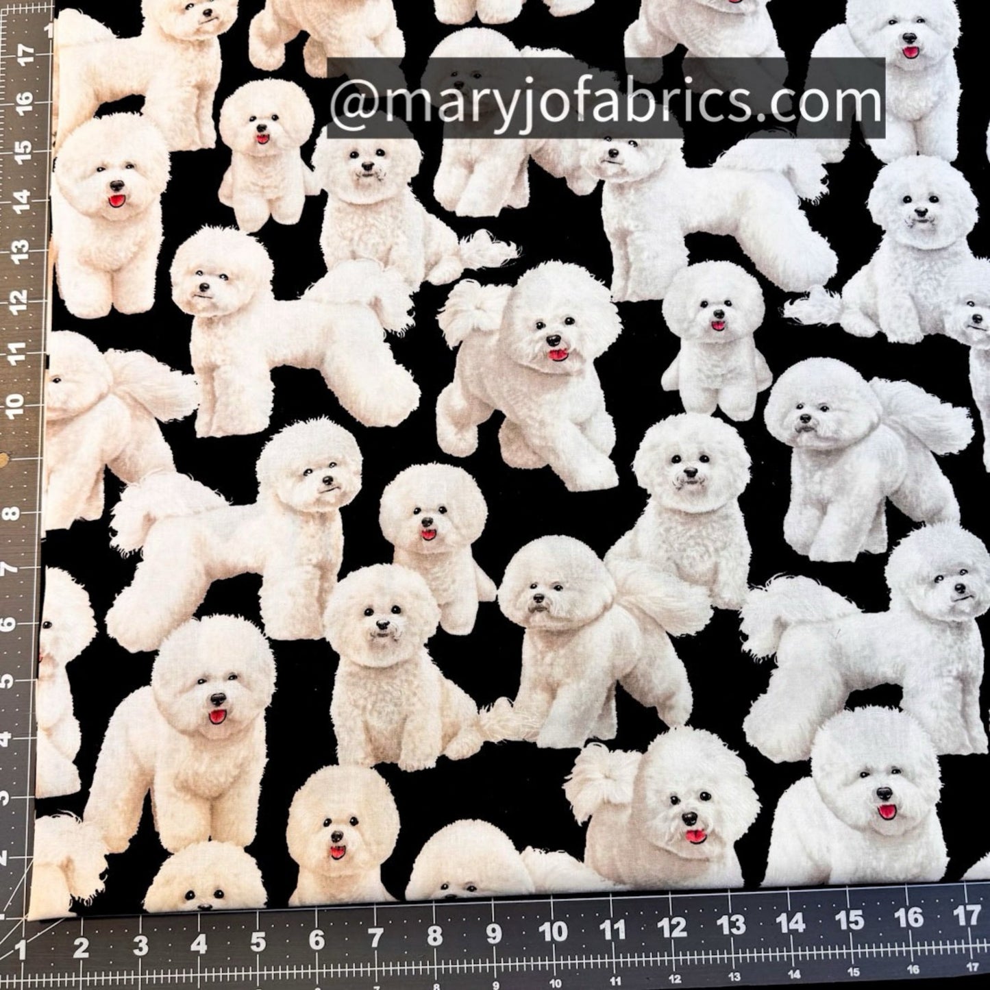 Bichon Frise Dog fabric C7526 cute puppy fabric - Mary Jo Fabrics