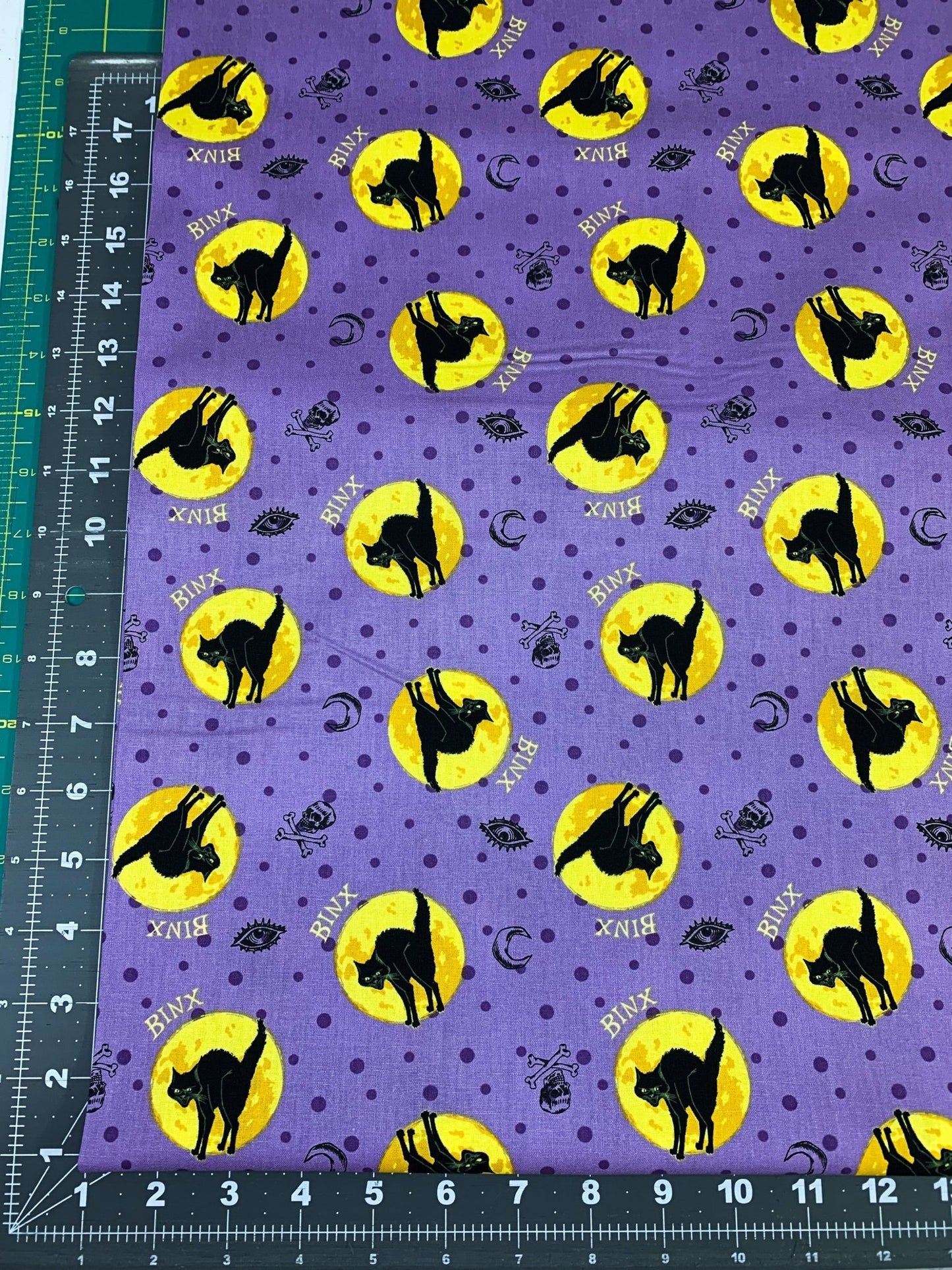 Binx black cat fabric Hocus Pocus fabric - Mary Jo Fabrics