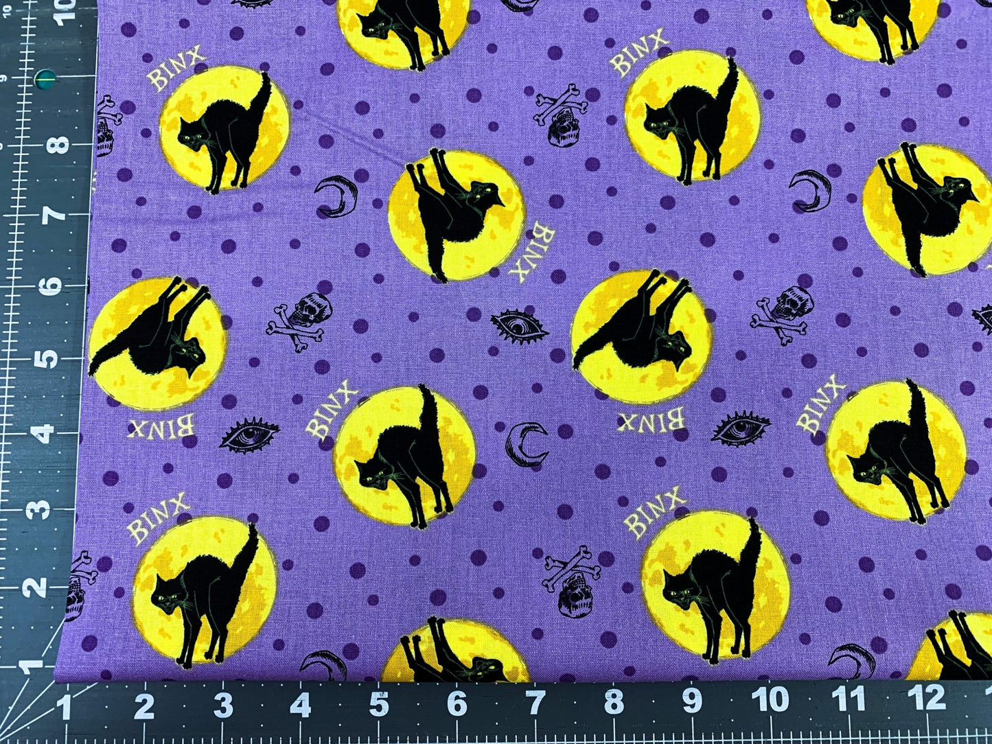 Binx black cat fabric Hocus Pocus fabric - Mary Jo Fabrics