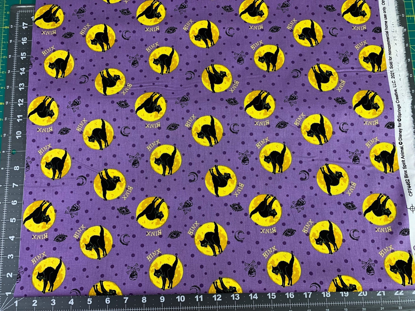 Binx black cat fabric Hocus Pocus fabric - Mary Jo Fabrics