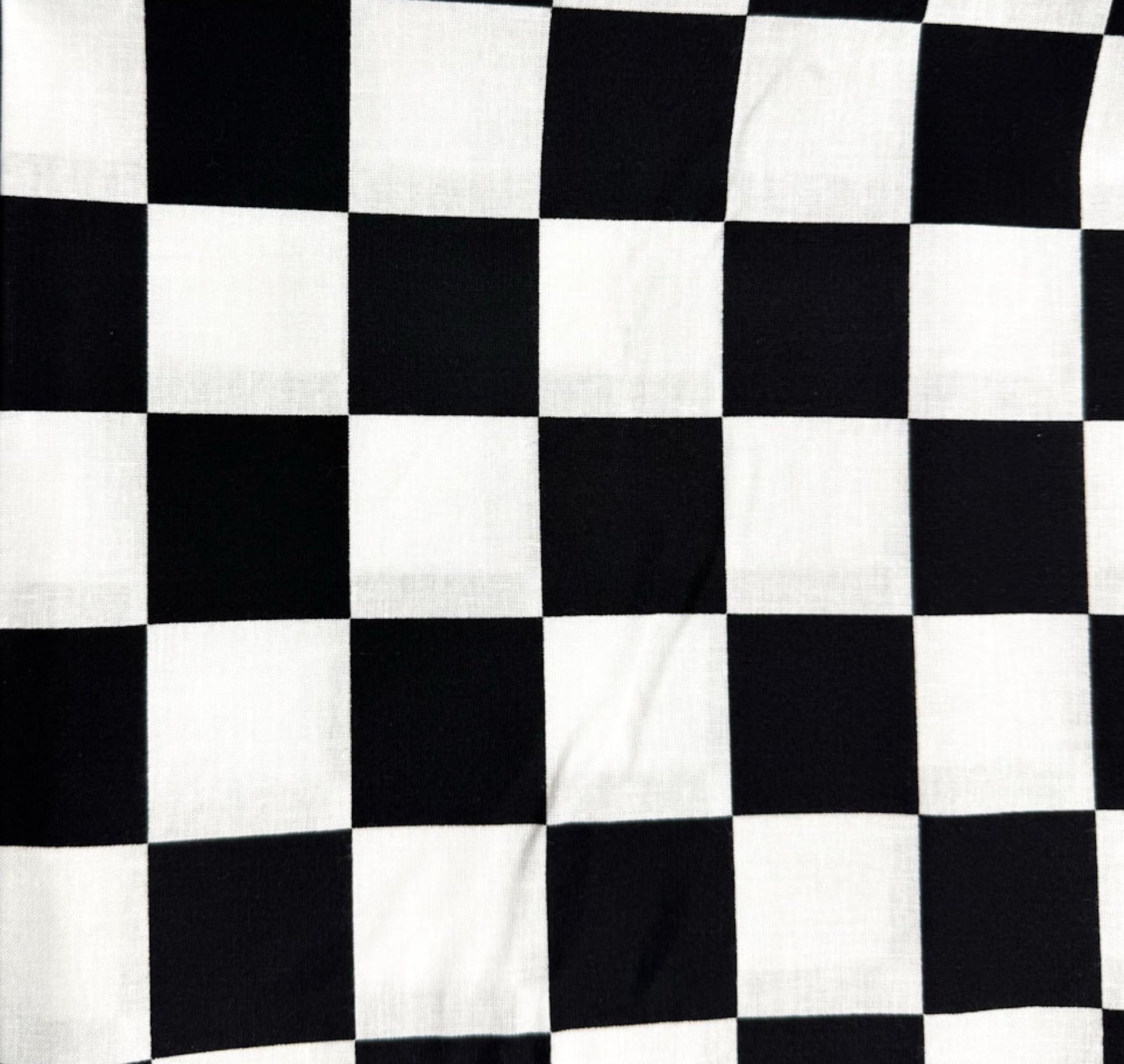 Black and White Racing Check Cotton Fabric 22098 - Mary Jo Fabrics