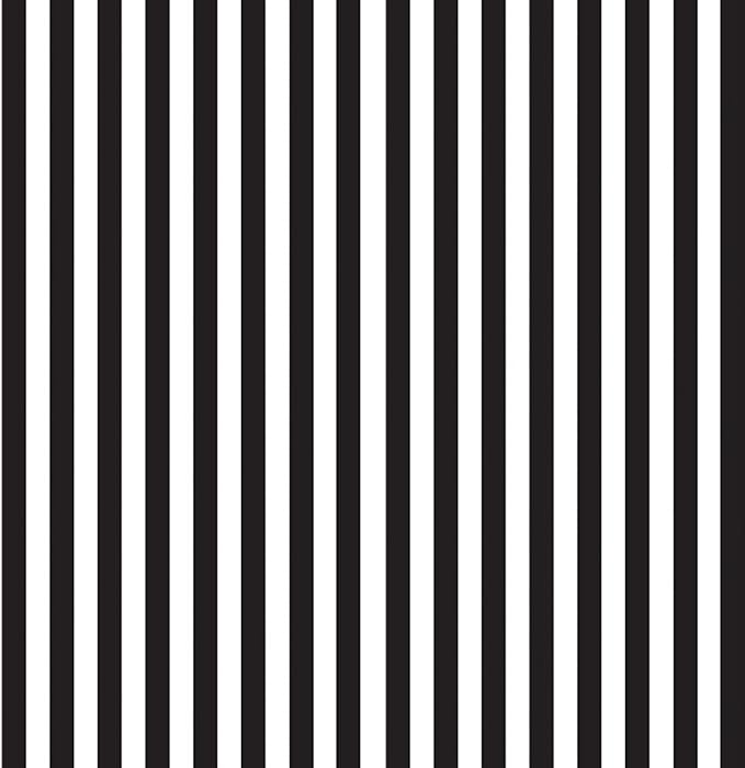 Black and White Striped fabric C8832 Piano 1/3 inch width - Mary Jo Fabrics