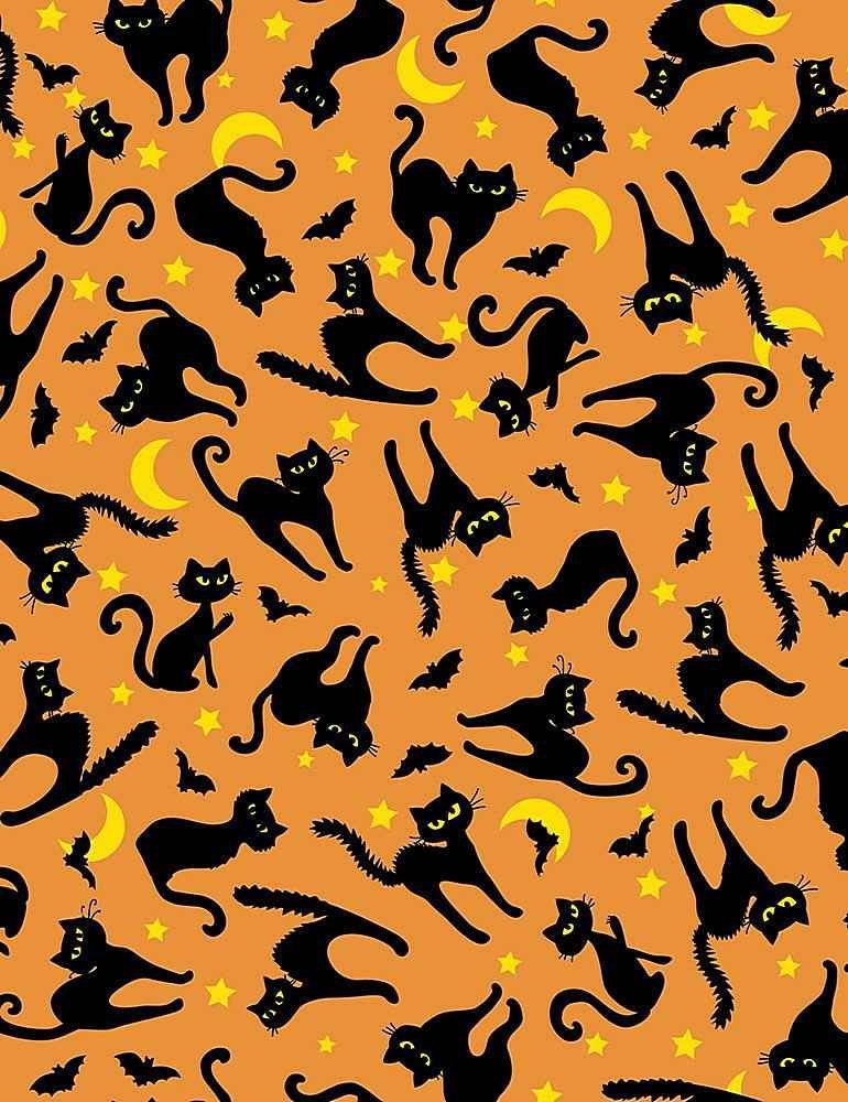 Black Cat fabric CD1452 halloween cotton fabric - Mary Jo Fabrics