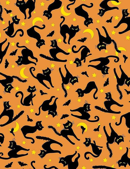 Black Cat fabric CD1452 halloween cotton fabric - Mary Jo Fabrics