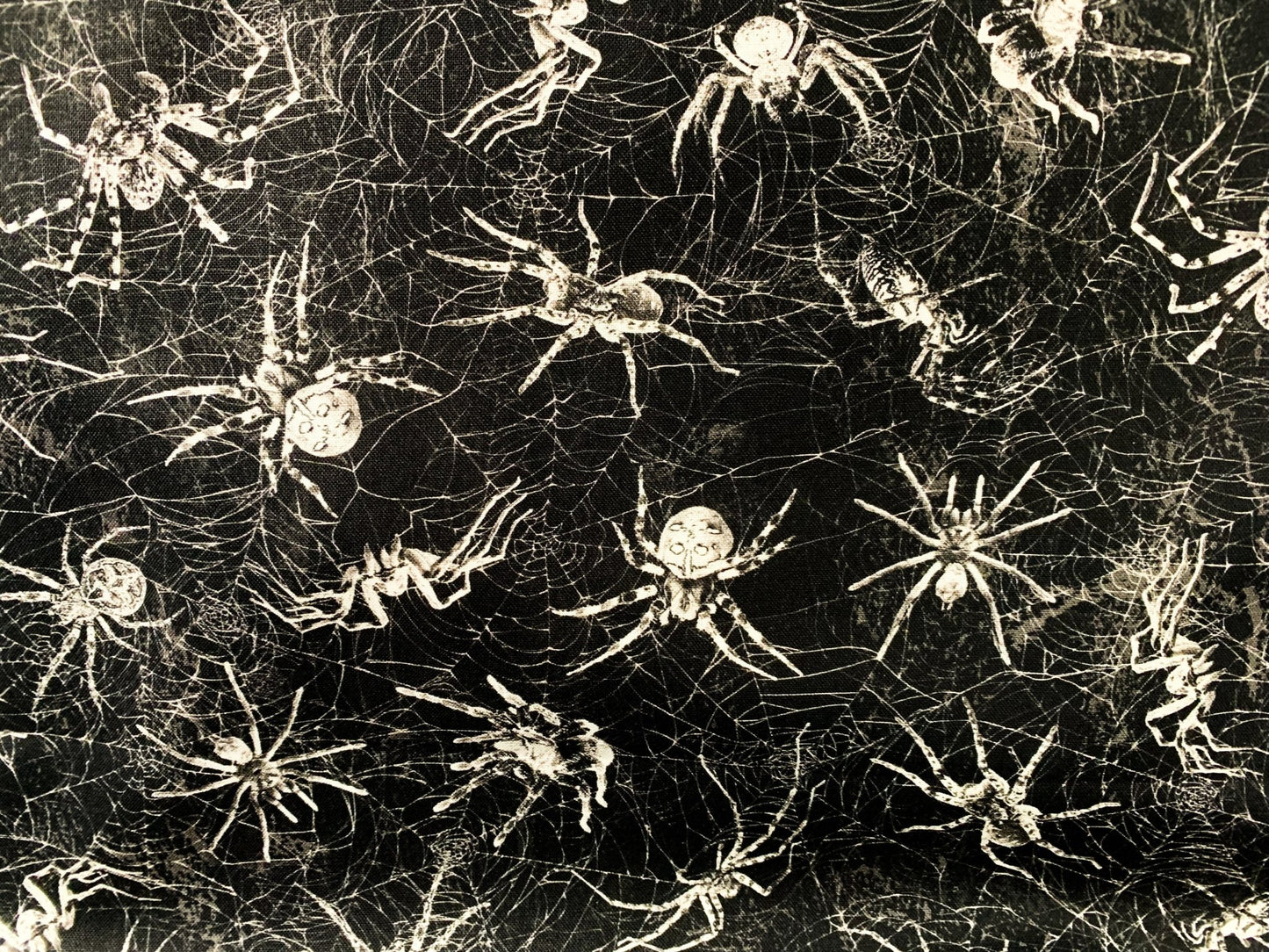 Black Creepy Spiders fabric CD1833 Wicked Spiderweb fabric - Mary Jo Fabrics