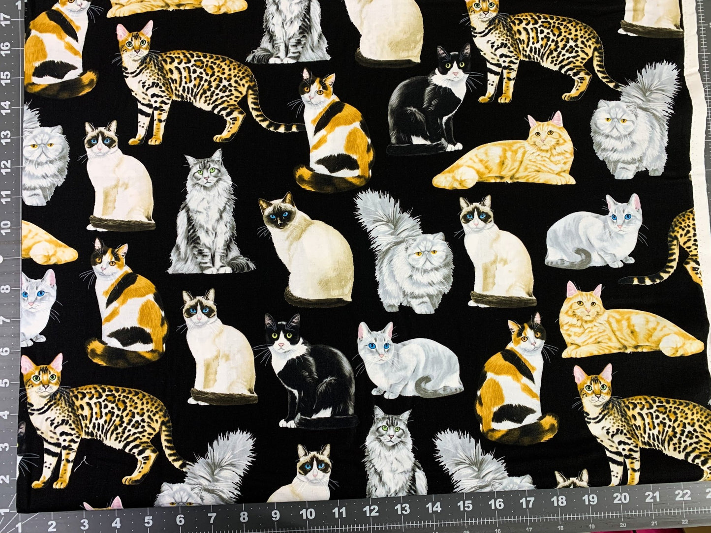 Black fancy cat fabric C8050 cats quilting fabric - Mary Jo Fabrics