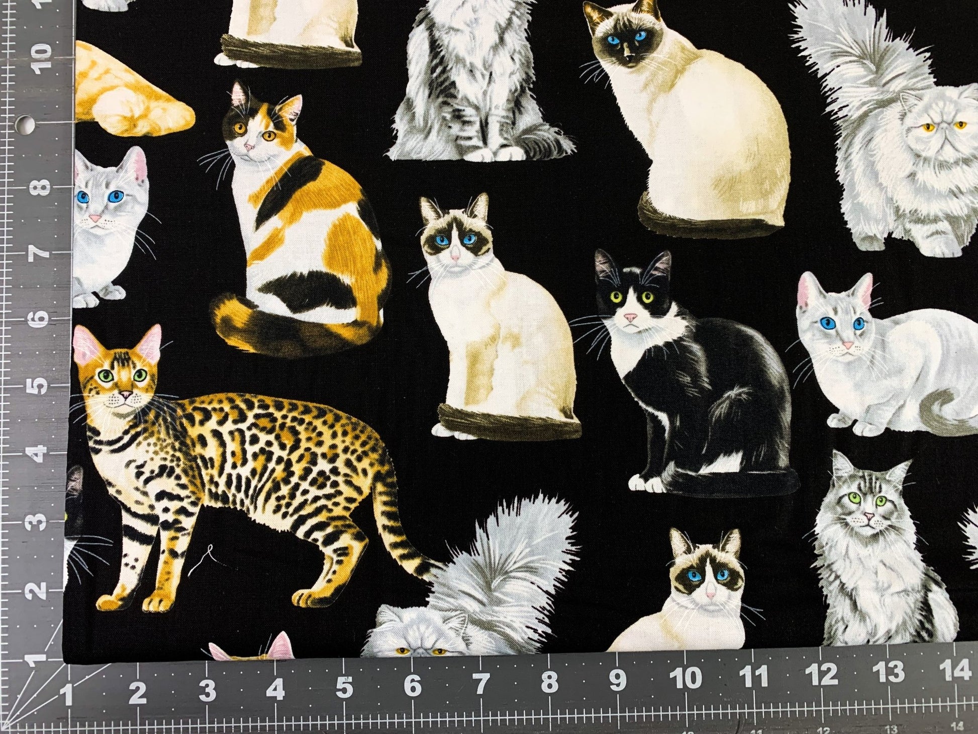 Black fancy cat fabric C8050 cats quilting fabric - Mary Jo Fabrics