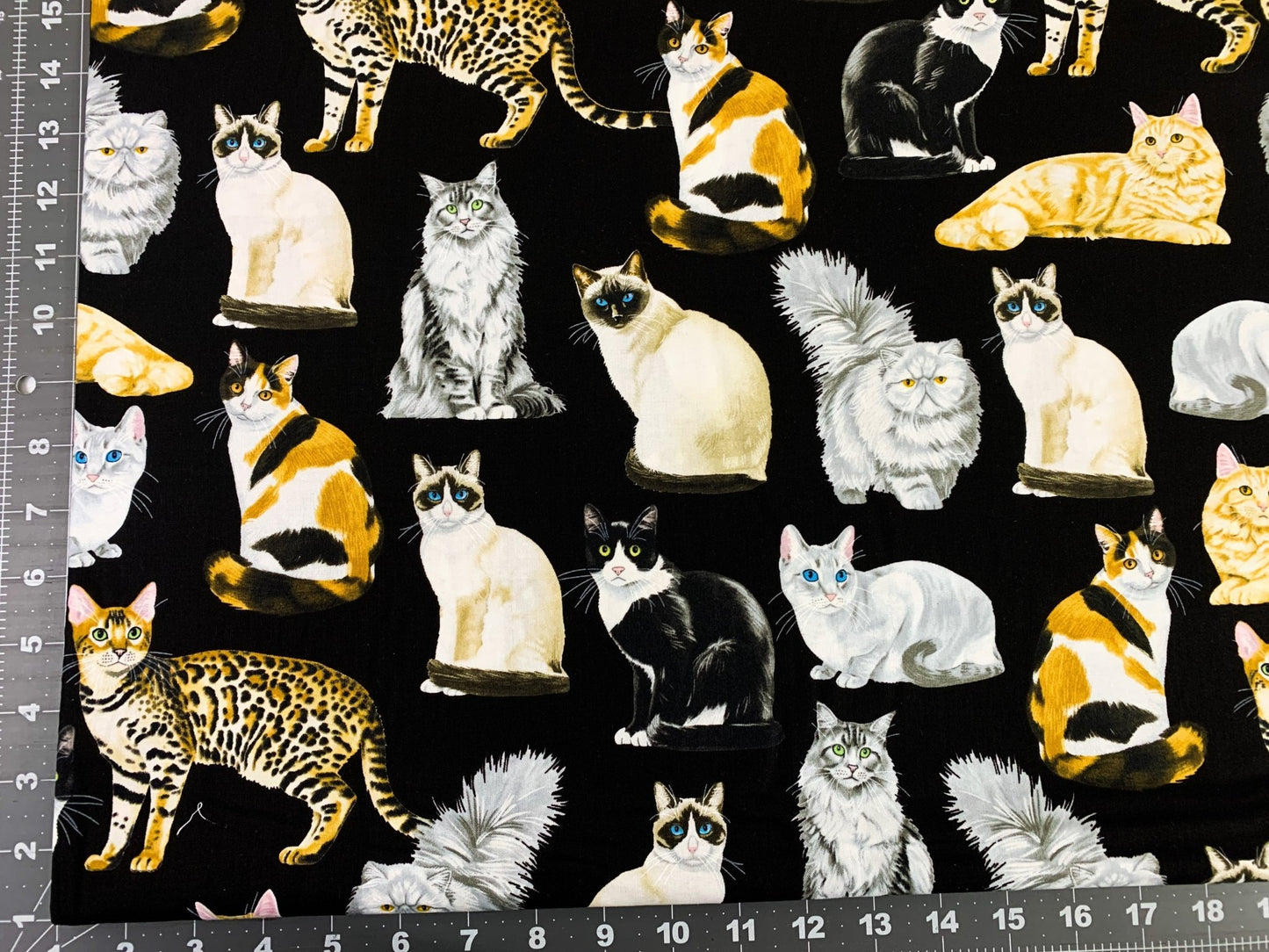 Black fancy cat fabric C8050 cats quilting fabric - Mary Jo Fabrics