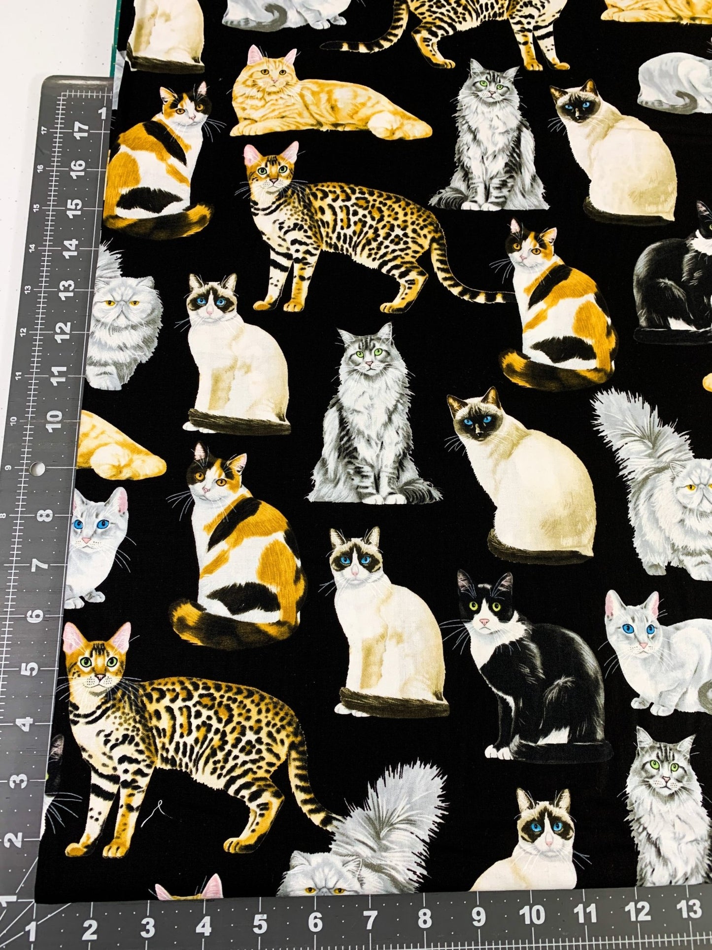 Black fancy cat fabric C8050 cats quilting fabric - Mary Jo Fabrics