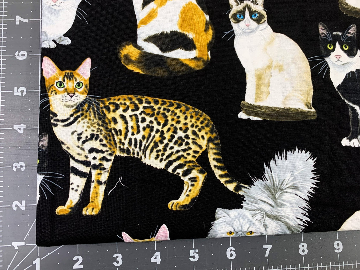 Black fancy cat fabric C8050 cats quilting fabric - Mary Jo Fabrics