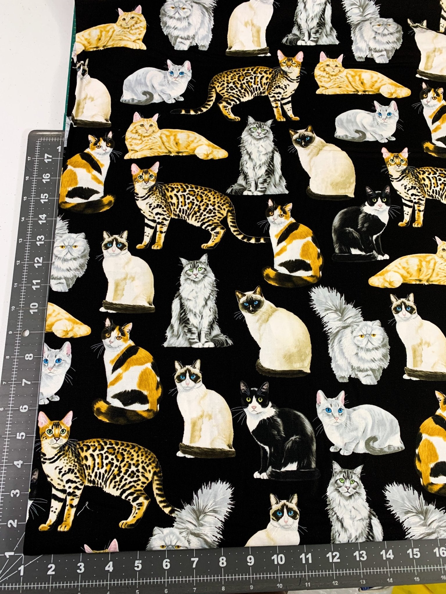 Black fancy cat fabric C8050 cats quilting fabric - Mary Jo Fabrics