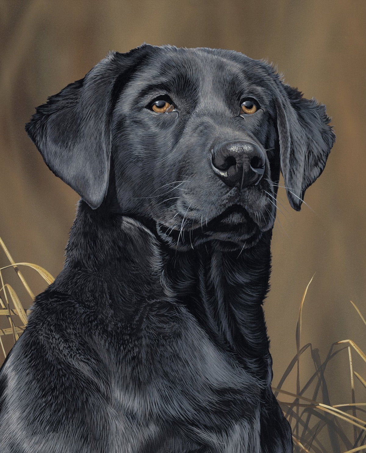 Black Labrador Dog Quilt Panel ML3488 2C Dogs Fabric - Mary Jo Fabrics