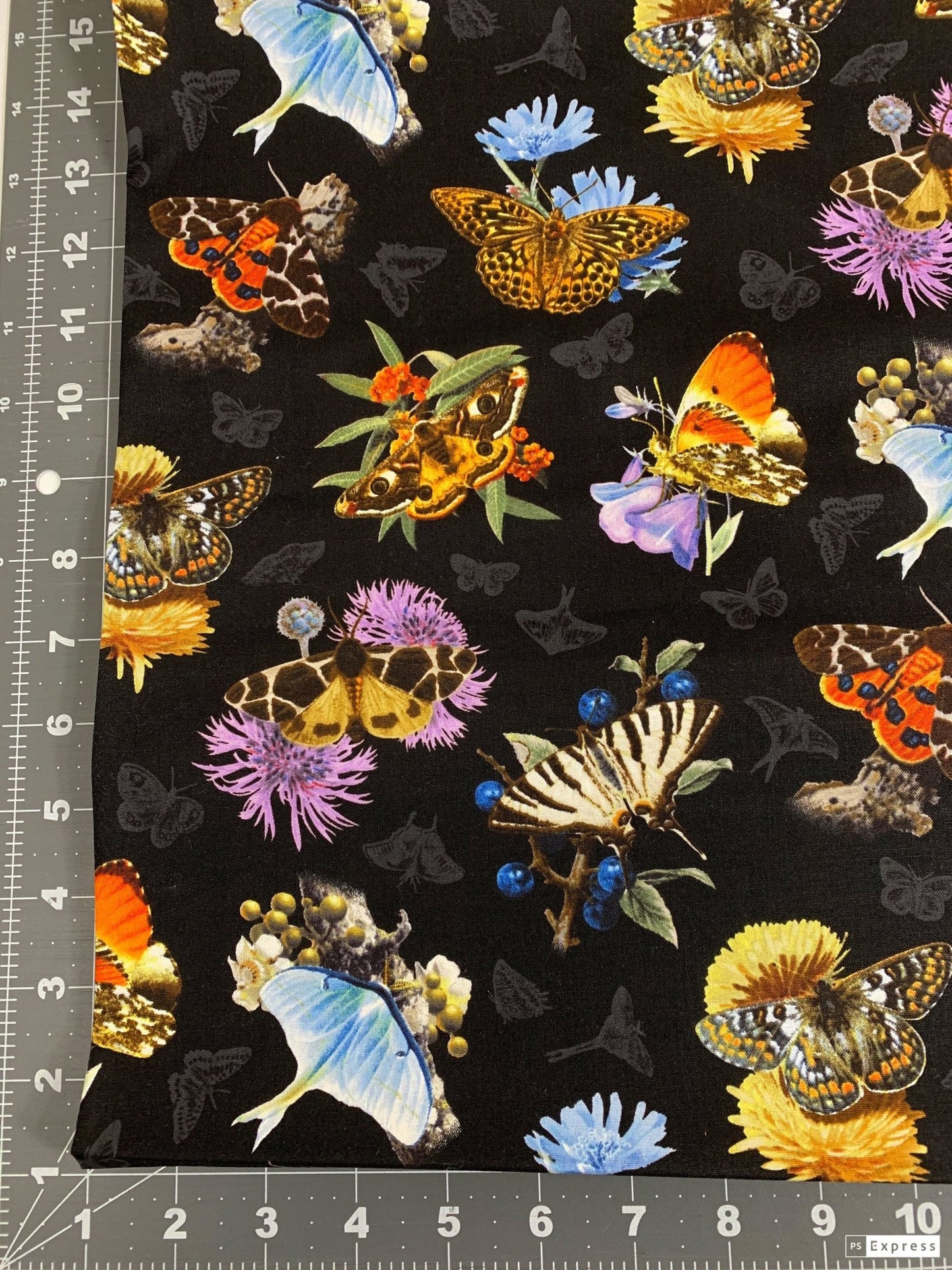 Black Moths and Butterflies fabric 9801 Beautiful Butterfly - Mary Jo Fabrics