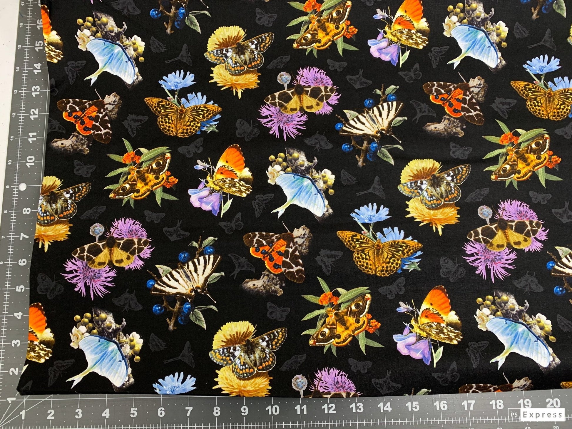 Black Moths and Butterflies fabric 9801 Beautiful Butterfly - Mary Jo Fabrics