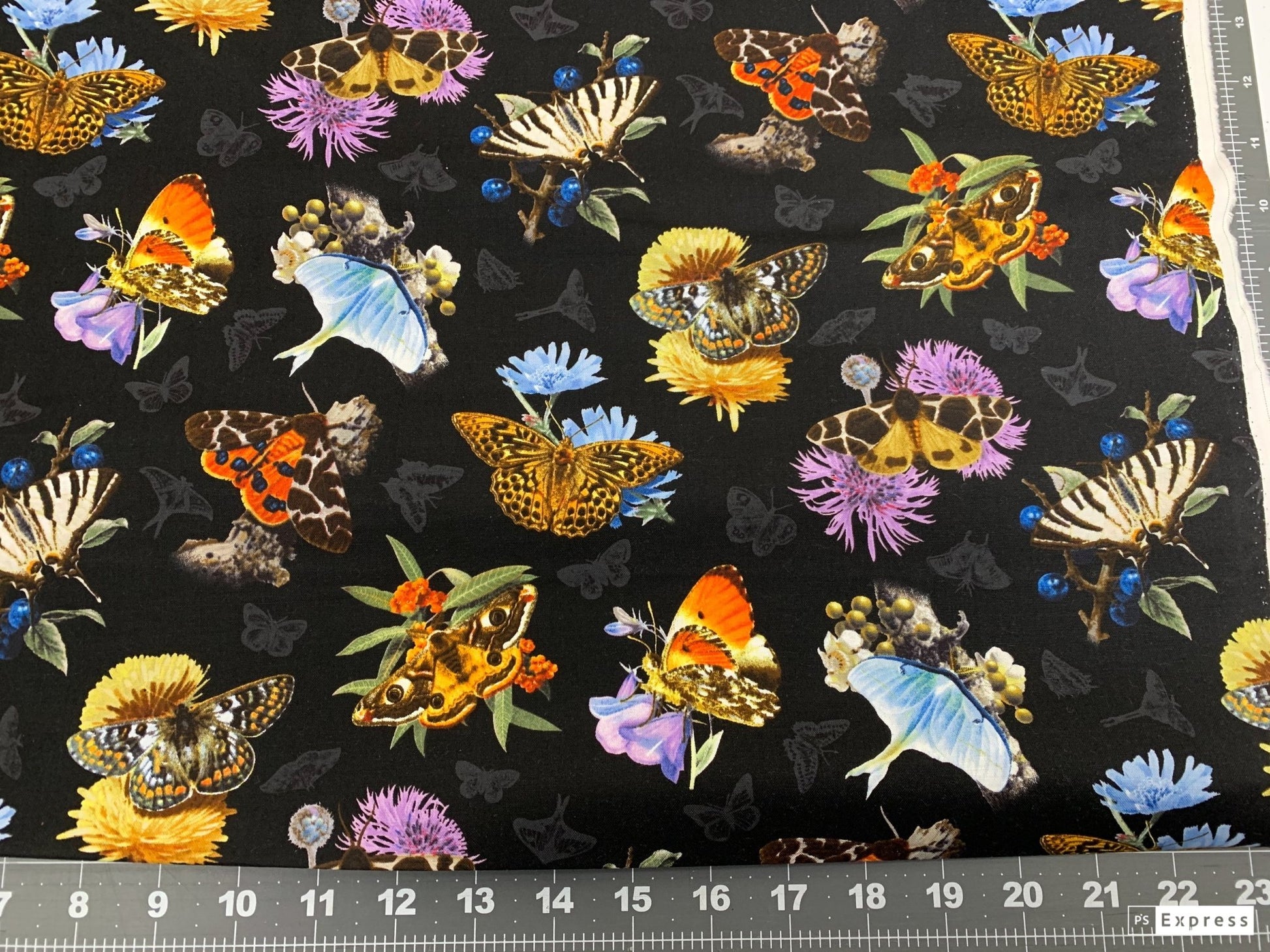 Black Moths and Butterflies fabric 9801 Beautiful Butterfly - Mary Jo Fabrics