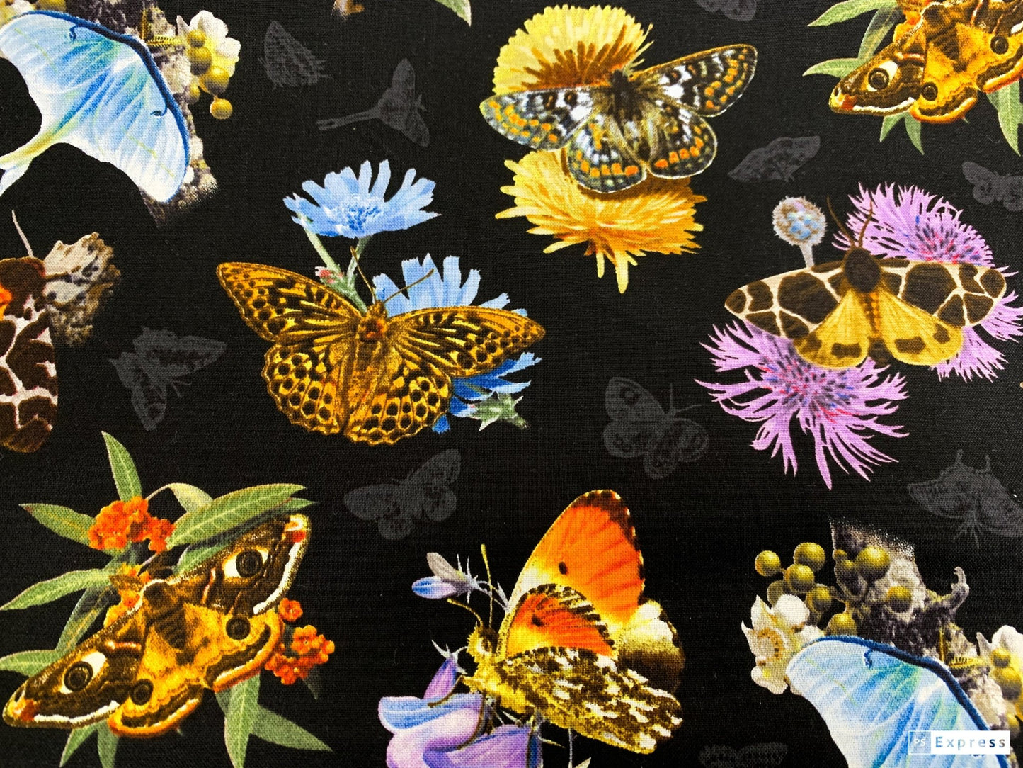 Black Moths and Butterflies fabric 9801 Beautiful Butterfly - Mary Jo Fabrics