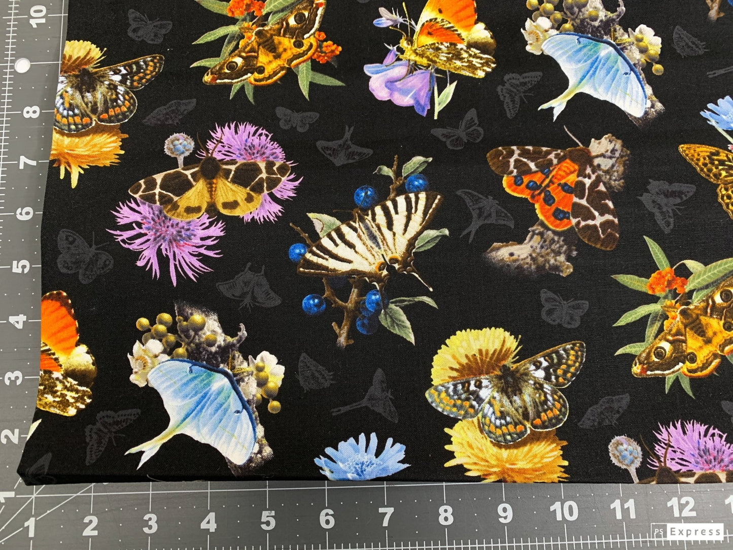 Black Moths and Butterflies fabric 9801 Beautiful Butterfly - Mary Jo Fabrics