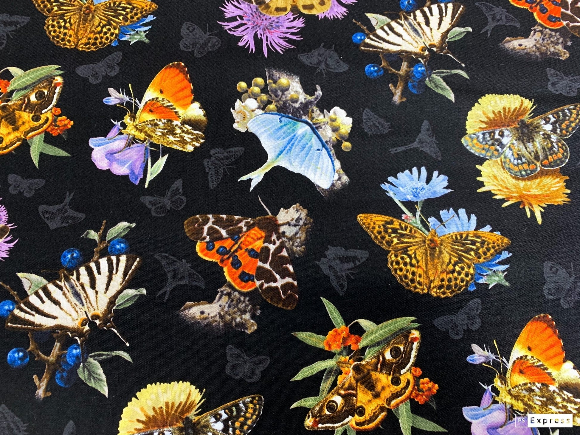 Black Moths and Butterflies fabric 9801 Beautiful Butterfly - Mary Jo Fabrics