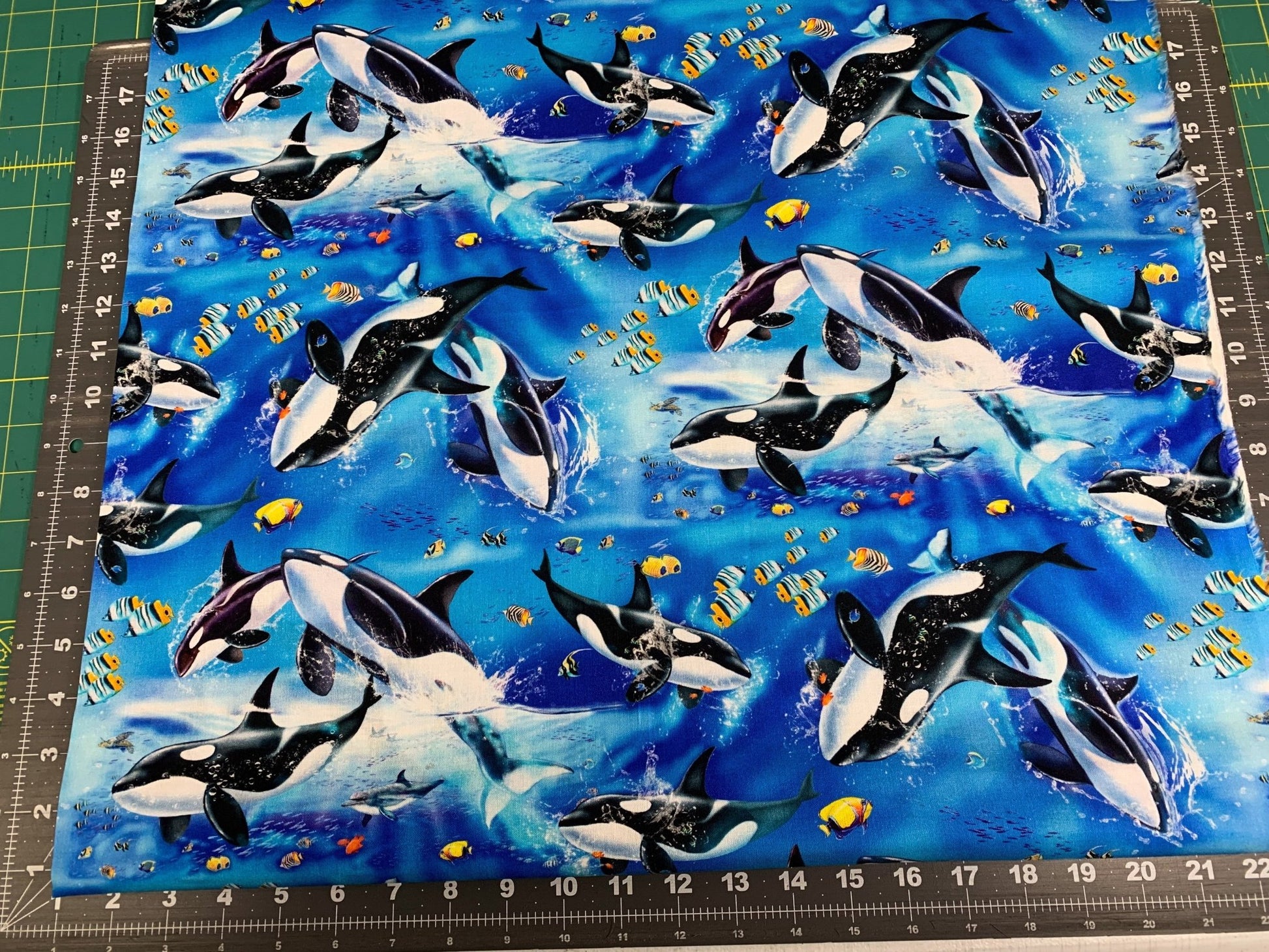 Blue Whale fabric 5754 whales cotton fabric - Mary Jo Fabrics