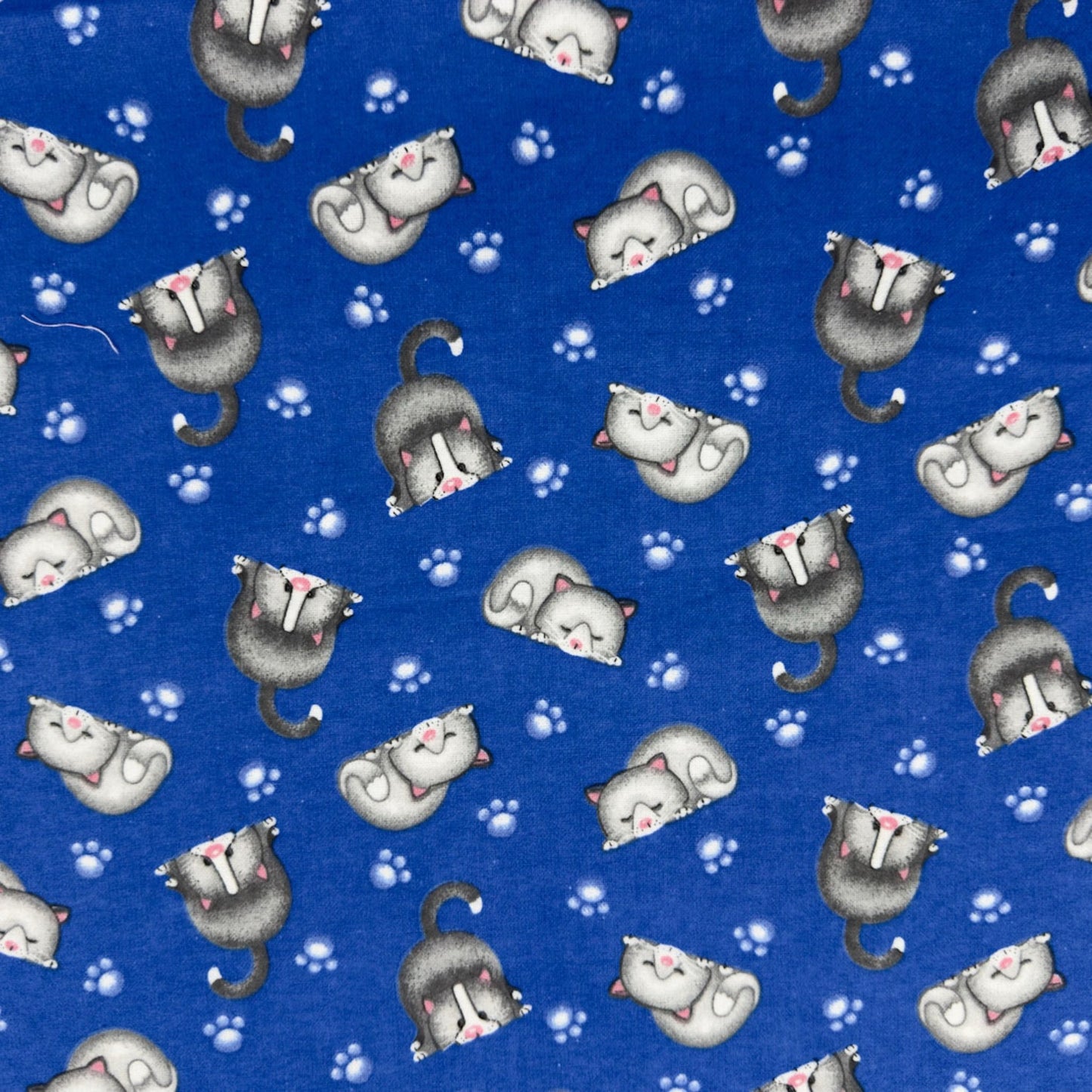 Bluey Lying Cats FLANNEL N1054 - 77 Kitten Flannel - Mary Jo Fabrics