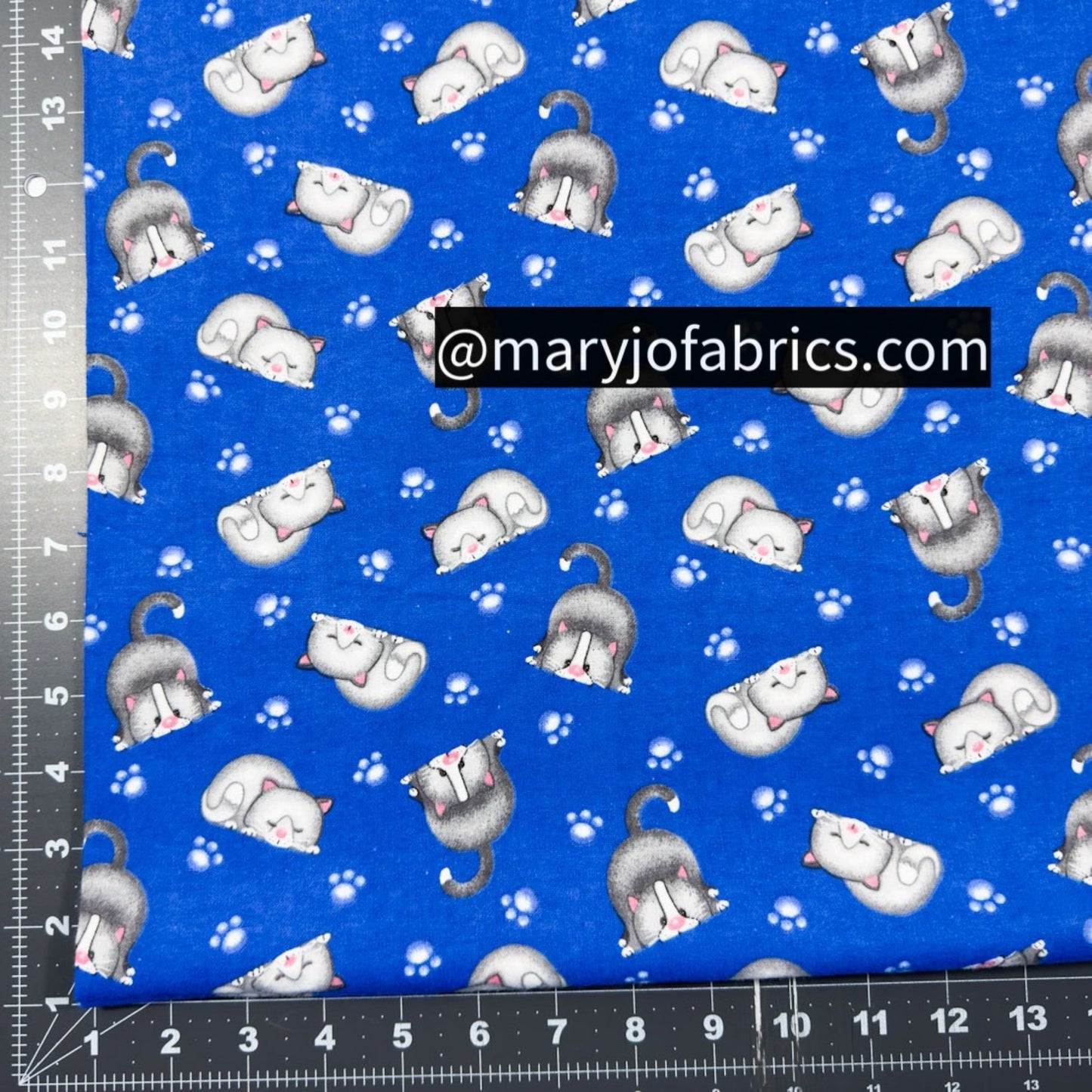 Bluey Lying Cats FLANNEL N1054 - 77 Kitten Flannel - Mary Jo Fabrics