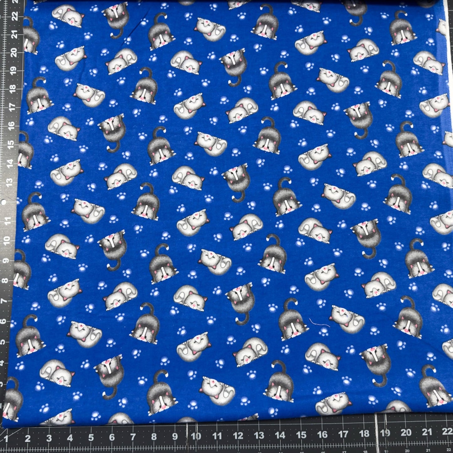 Bluey Lying Cats FLANNEL N1054 - 77 Kitten Flannel - Mary Jo Fabrics