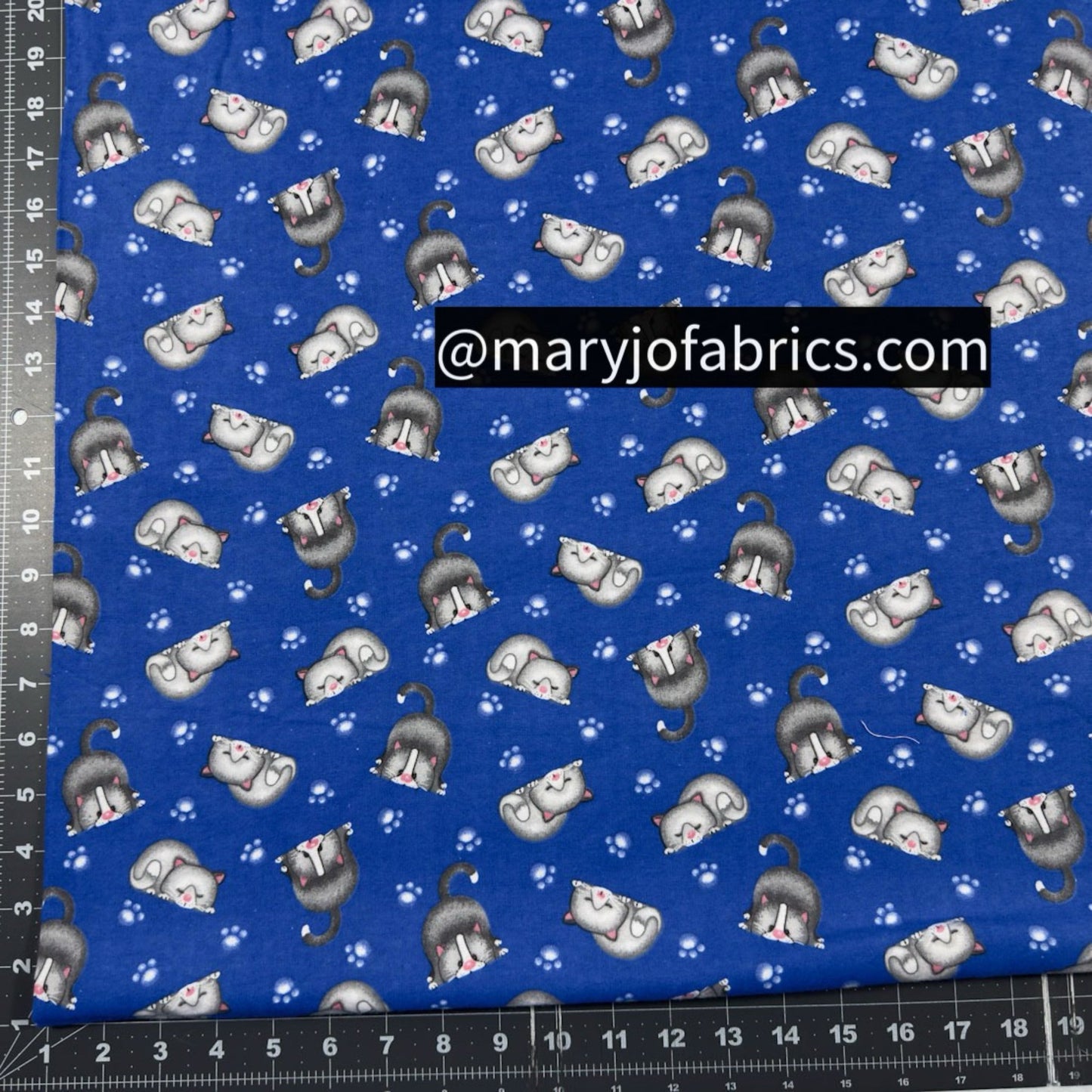 Bluey Lying Cats FLANNEL N1054 - 77 Kitten Flannel - Mary Jo Fabrics