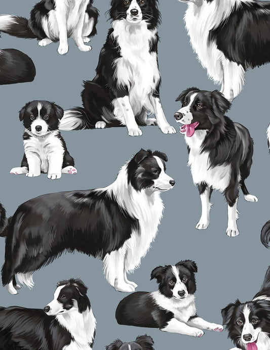 Border Collie dog fabric C7365 Bluish Gray dog cotton fabric - Mary Jo Fabrics