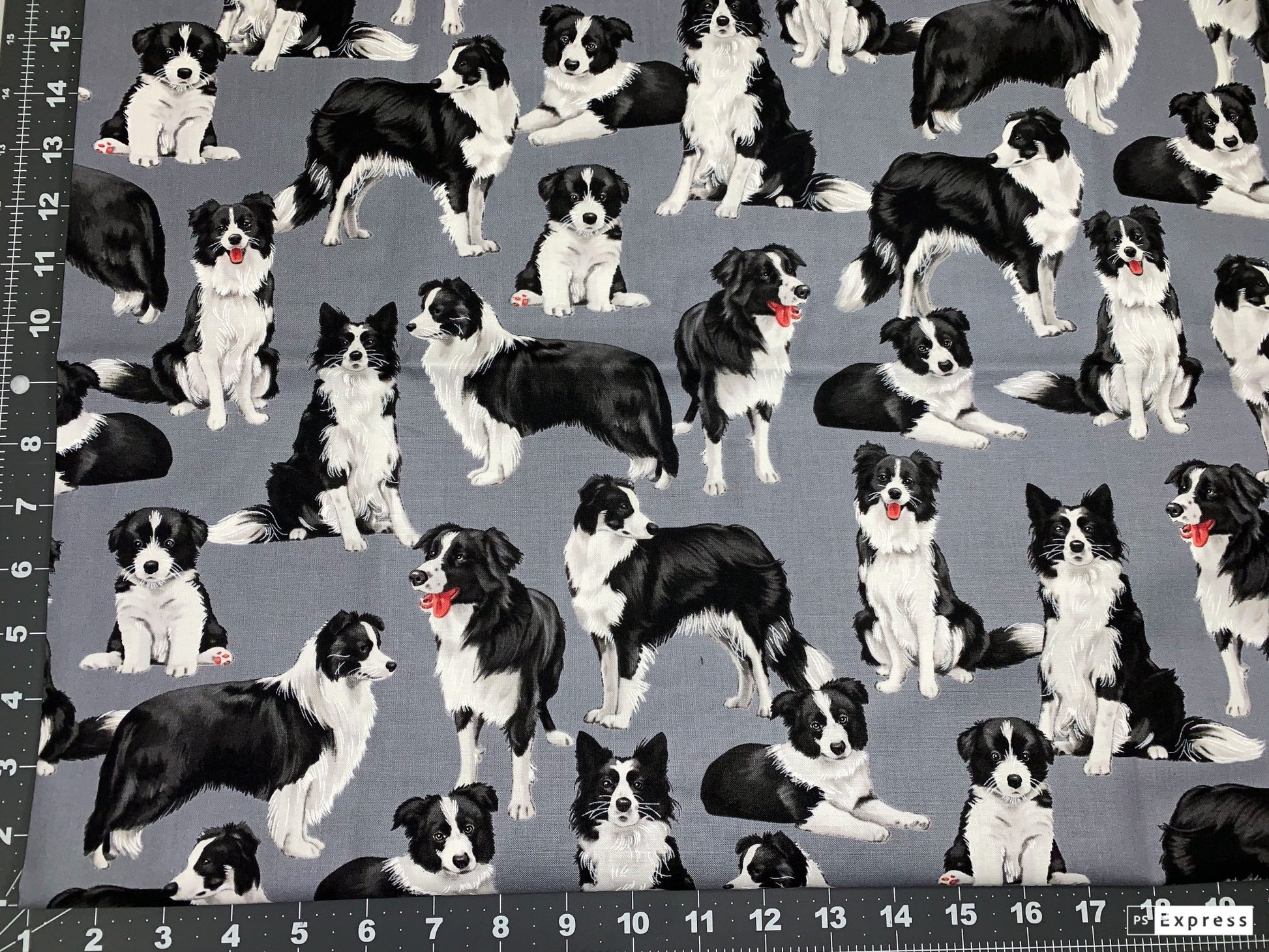 Border Collie dog fabric C7365 Bluish Gray dog cotton fabric - Mary Jo Fabrics