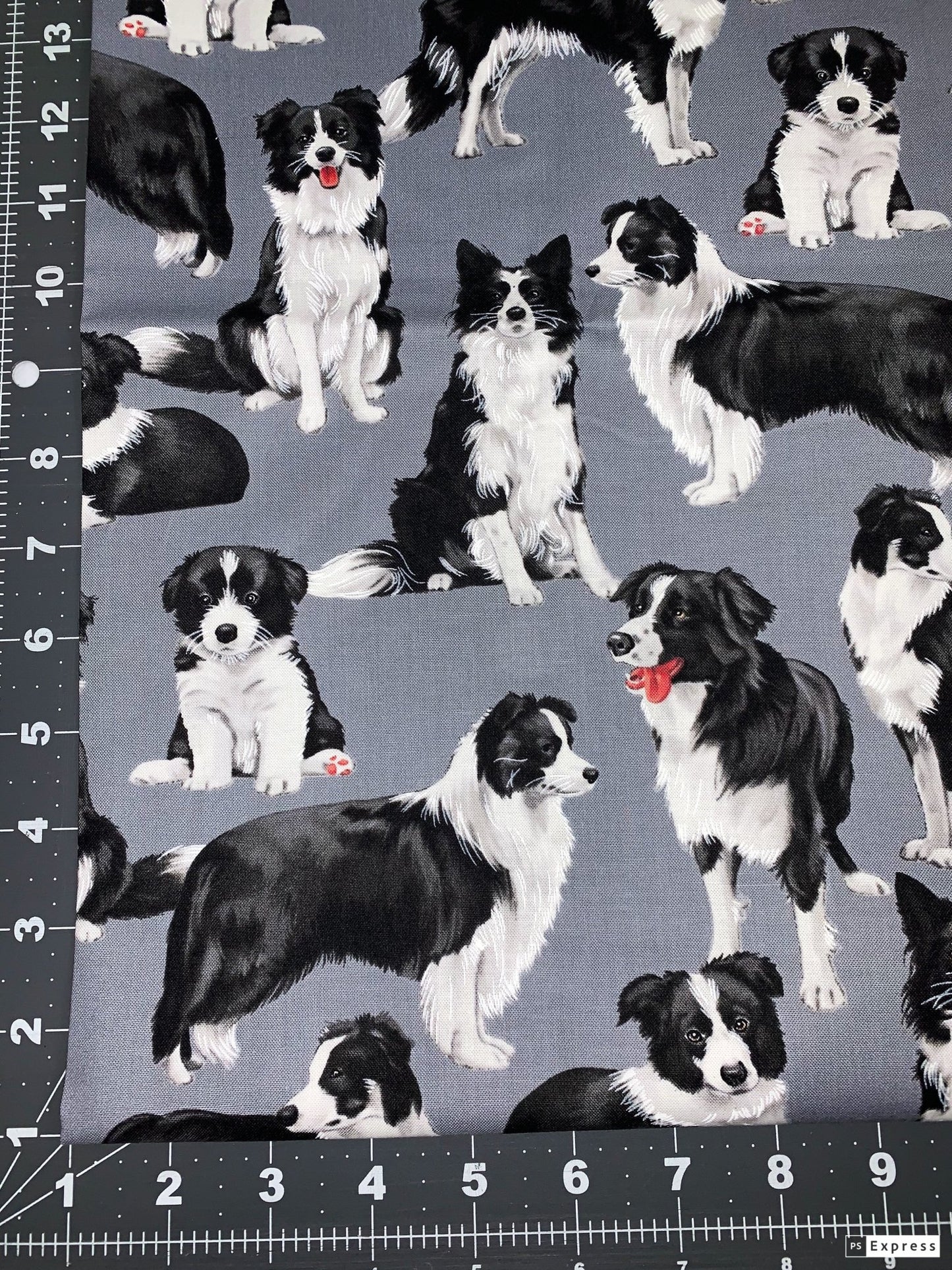 Border Collie dog fabric C7365 Bluish Gray dog cotton fabric - Mary Jo Fabrics